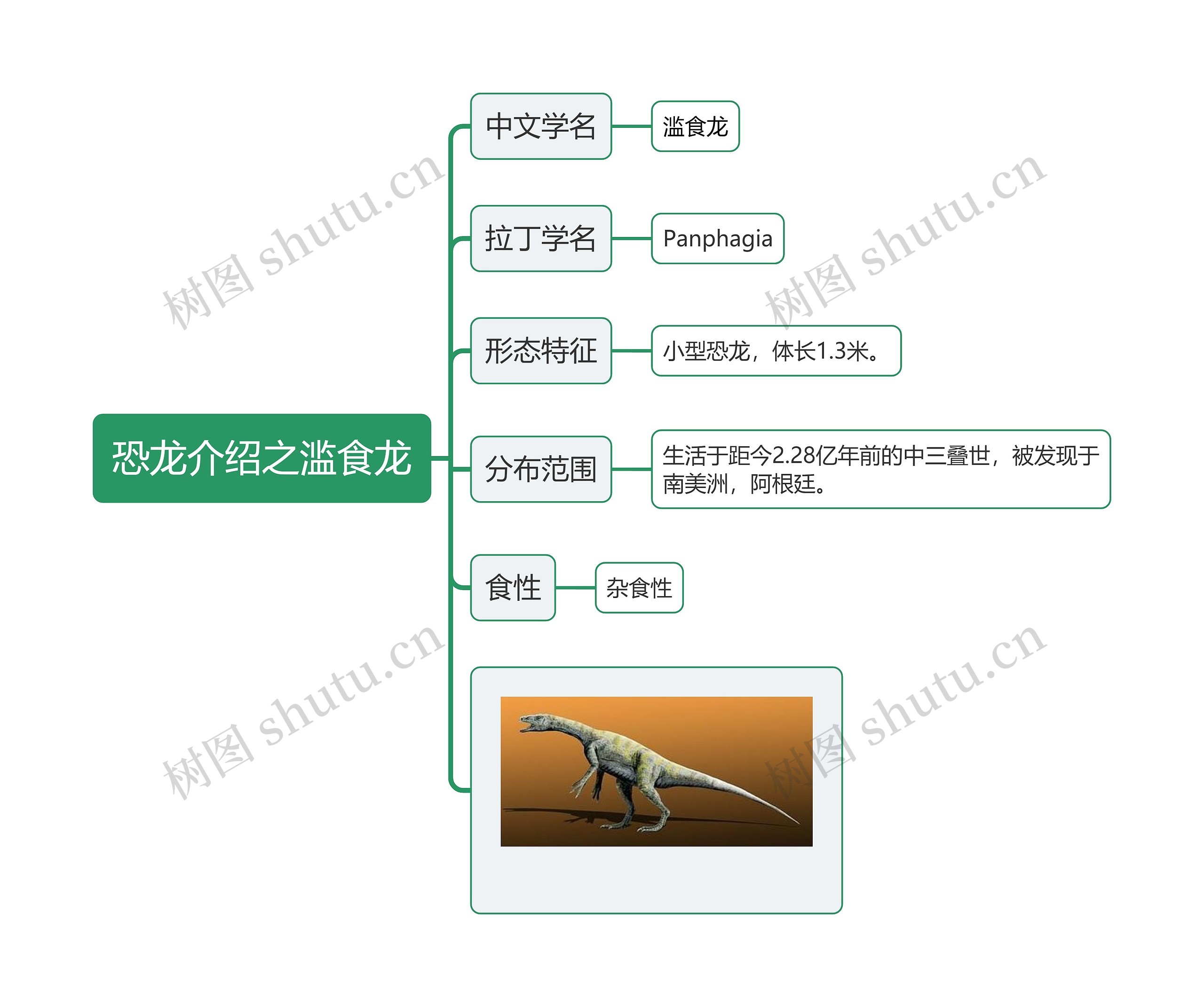 恐龙介绍之滥食龙思维导图