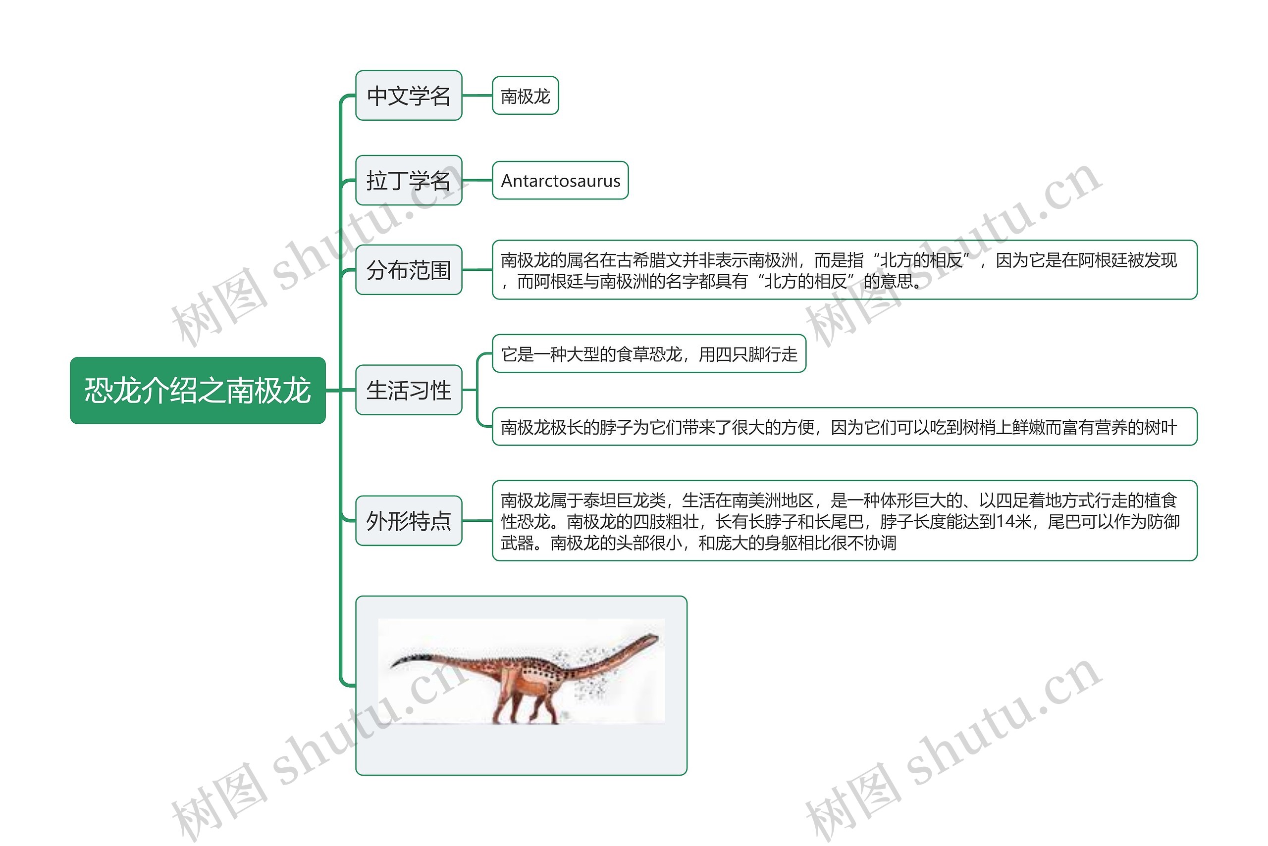 恐龙介绍之南极龙思维导图