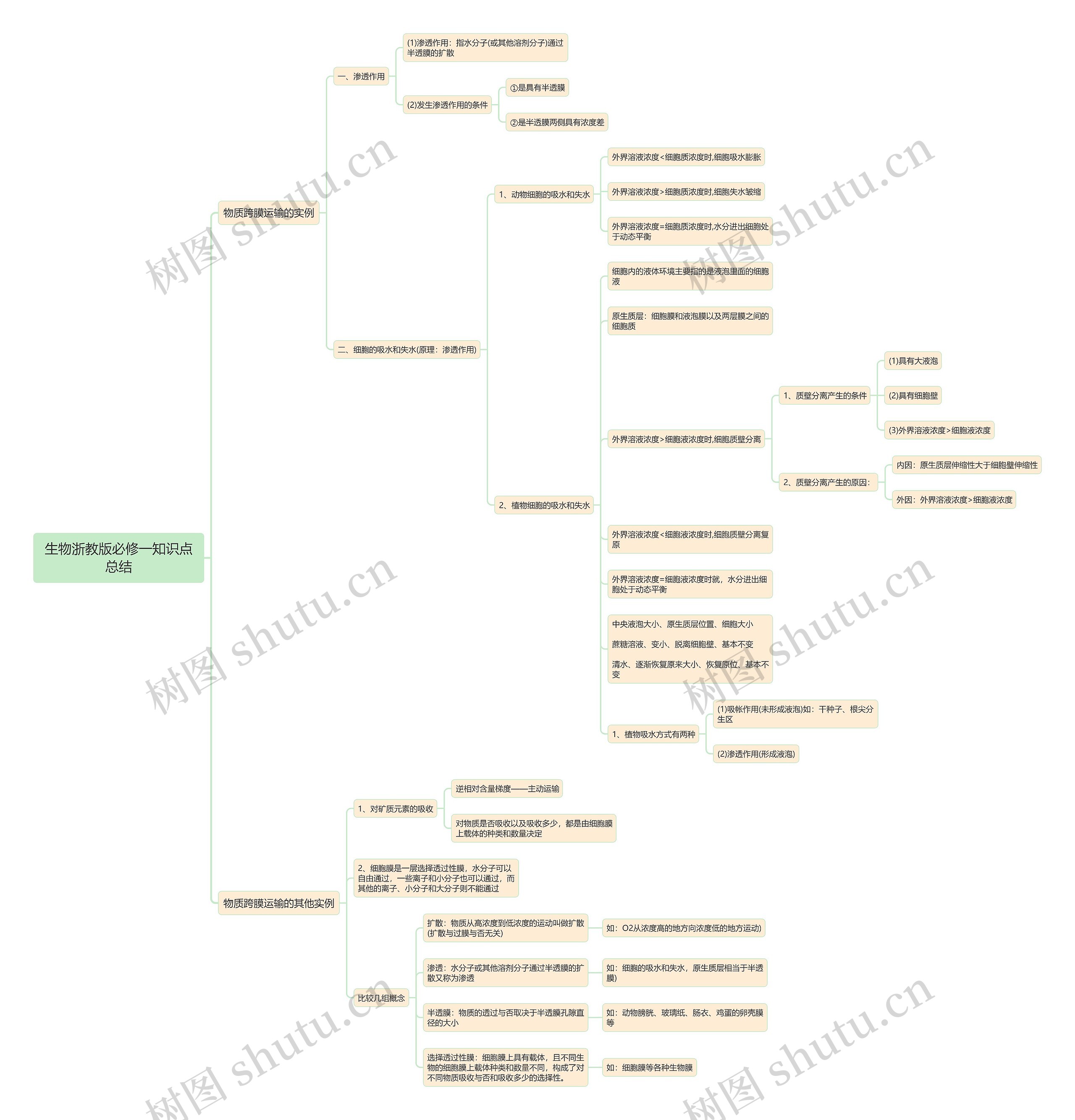 生物浙教版必修一知识点总结思维导图 生物浙教版必修一知识点总结思维导图