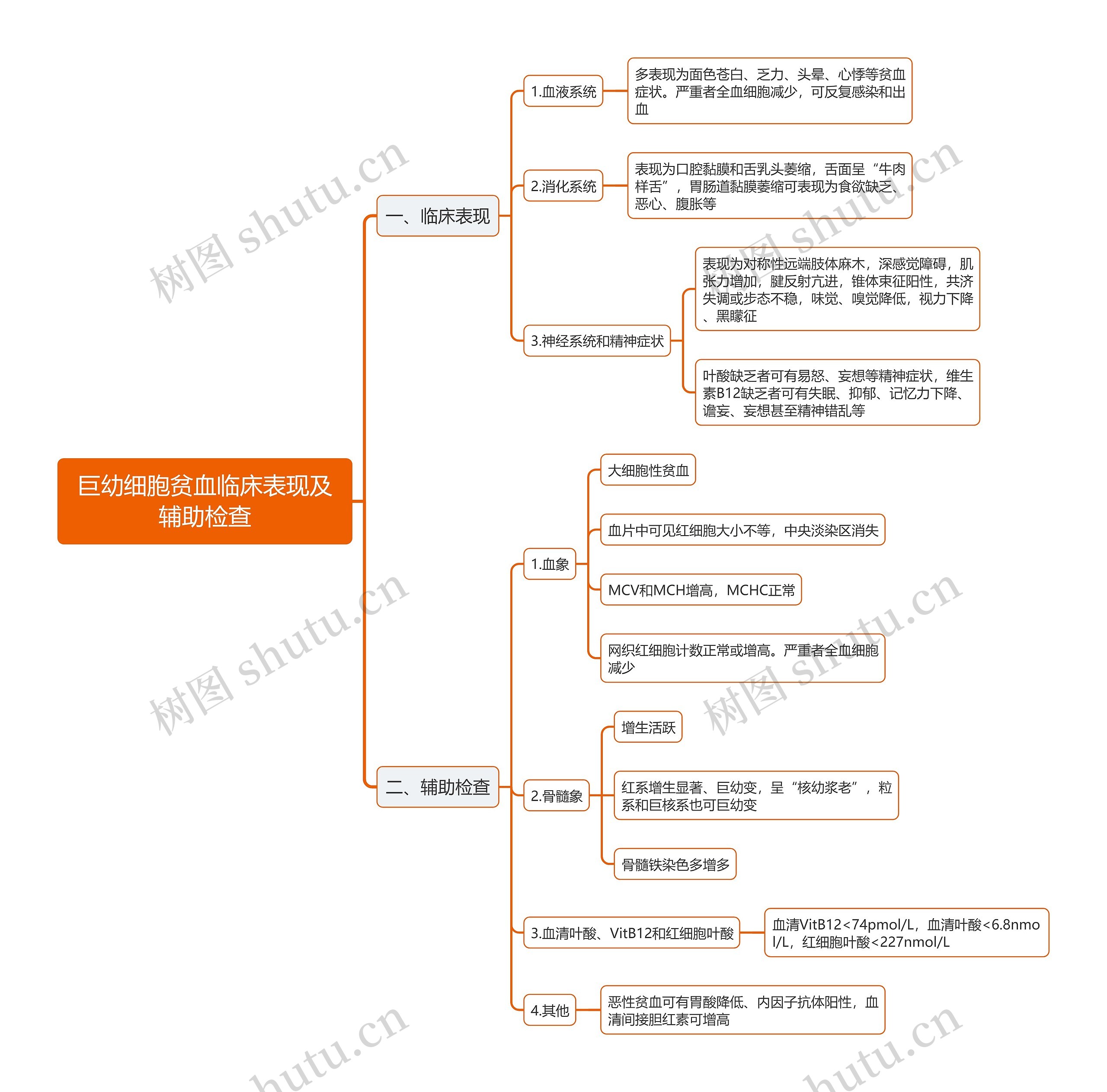 巨幼细胞贫血临床表现及辅助检查思维导图