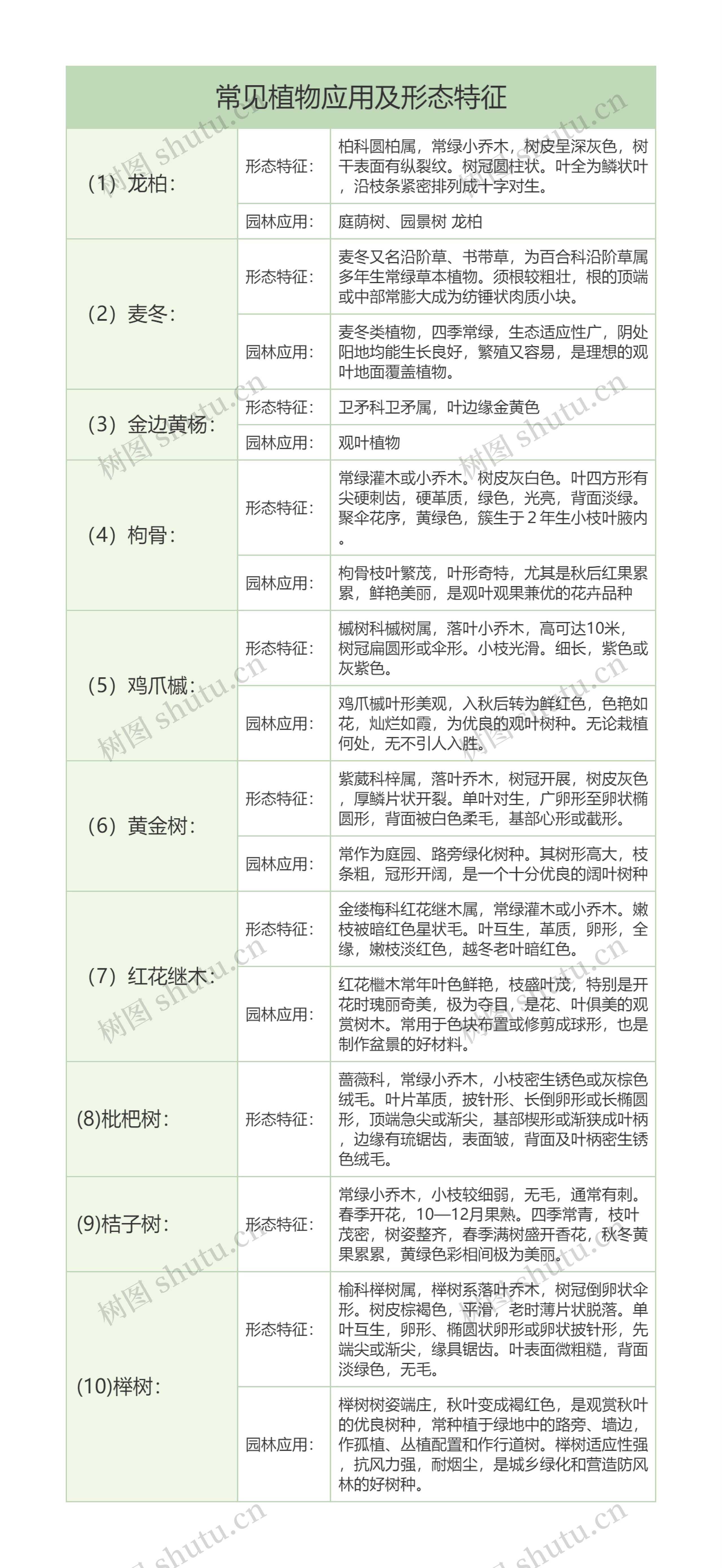 初中生物知识常见植物应用及形态特征树形表格思维导图