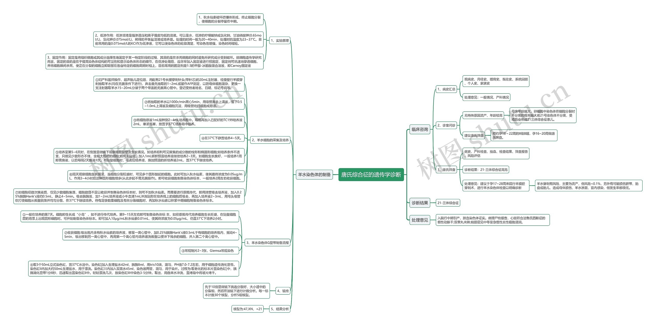 唐氏综合征的遗传学诊断思维导图