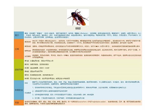 蟑螂思维导图