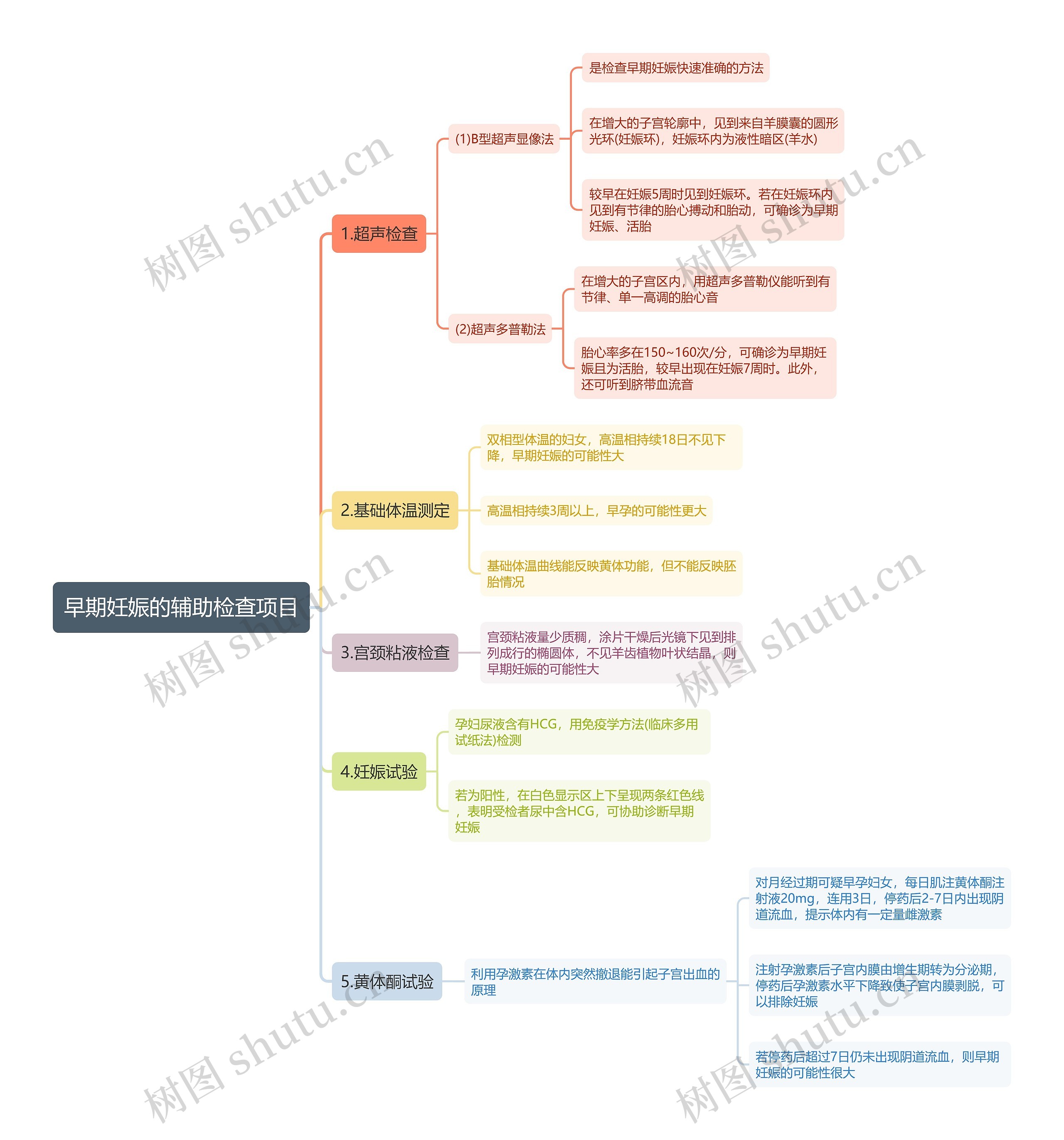 早期妊娠的辅助检查项目思维导图