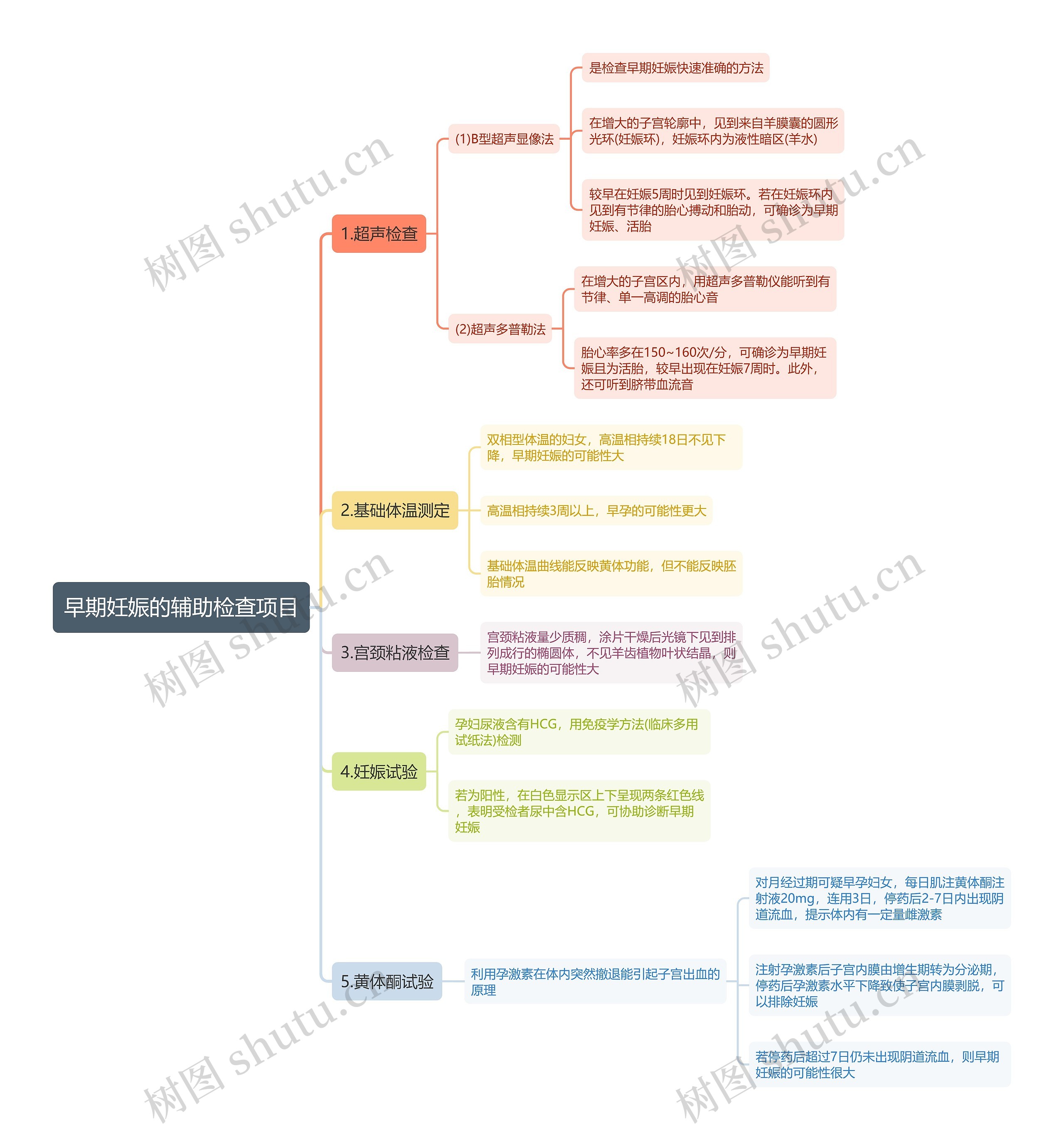早期妊娠的辅助检查项目思维导图 早期妊娠的辅助检查项目思维导图