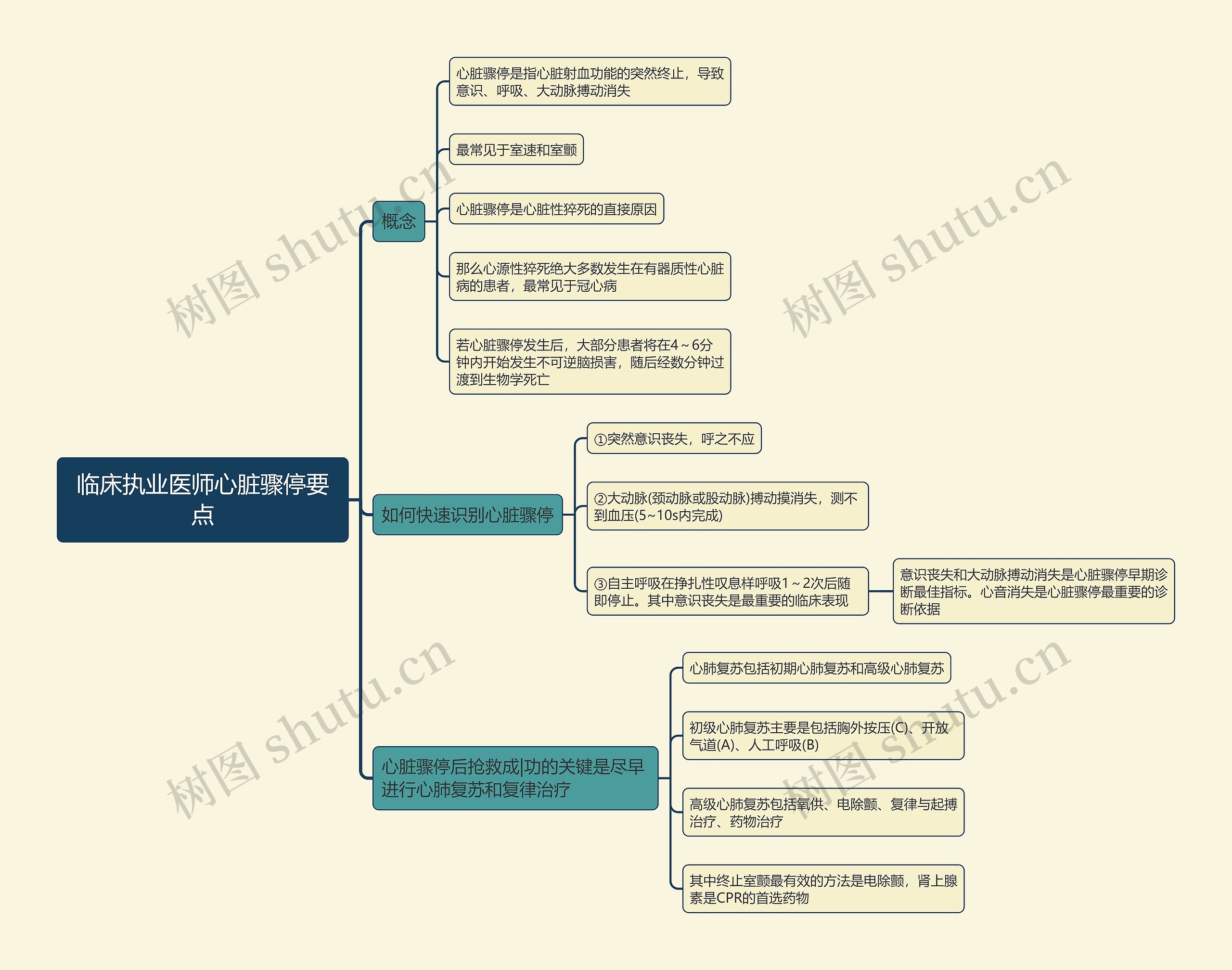 临床执业医师心脏骤停要点思维导图 临床执业医师心脏骤停要点思维导图