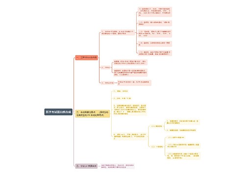 医学考试蛋白质合成思维导图