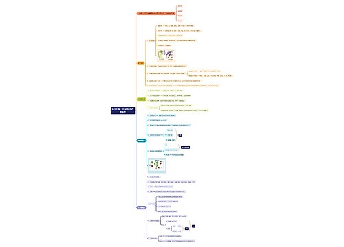 初中生物——生物圈中的绿色植物思维导图