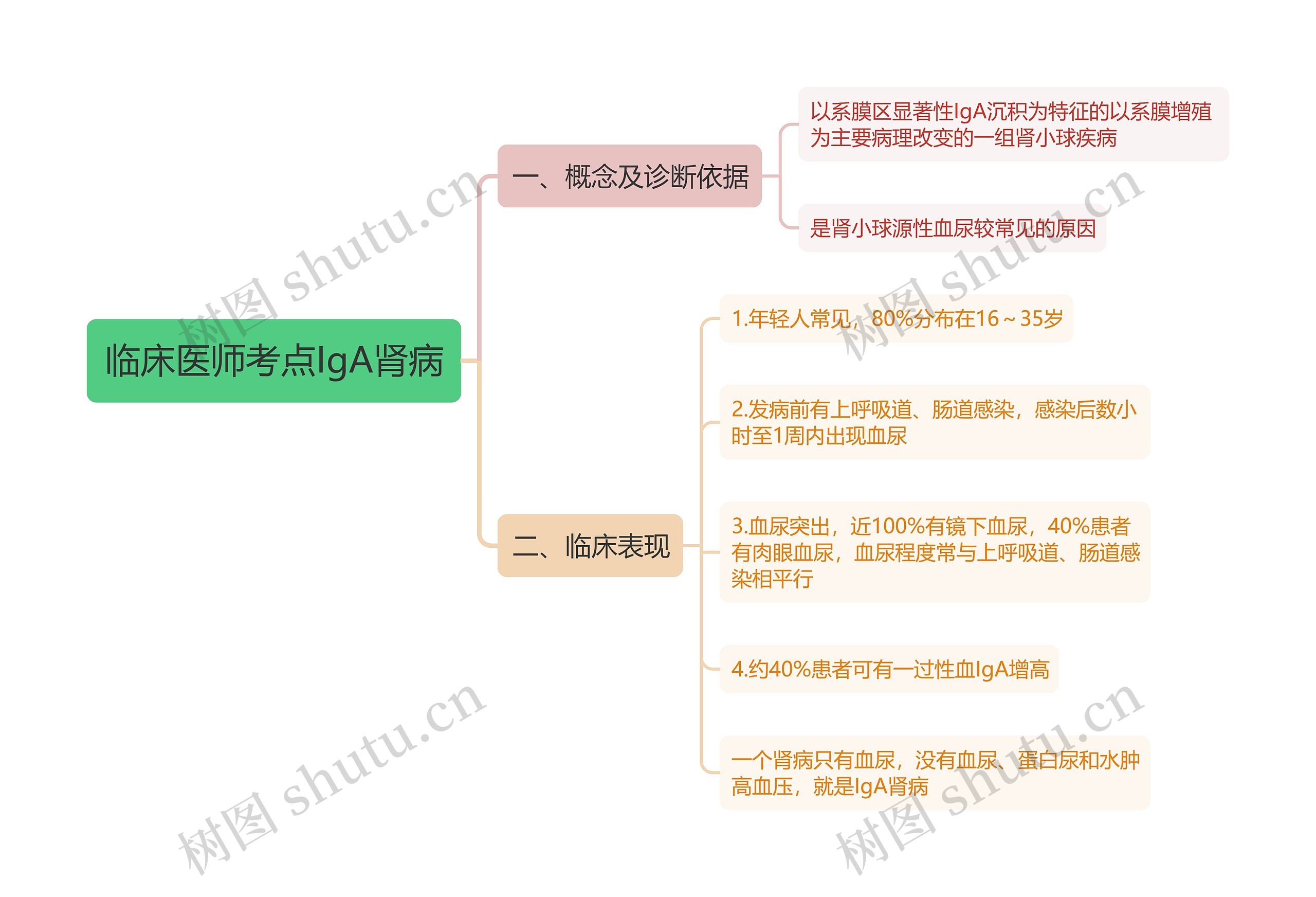 临床医师考点IgA肾病思维导图