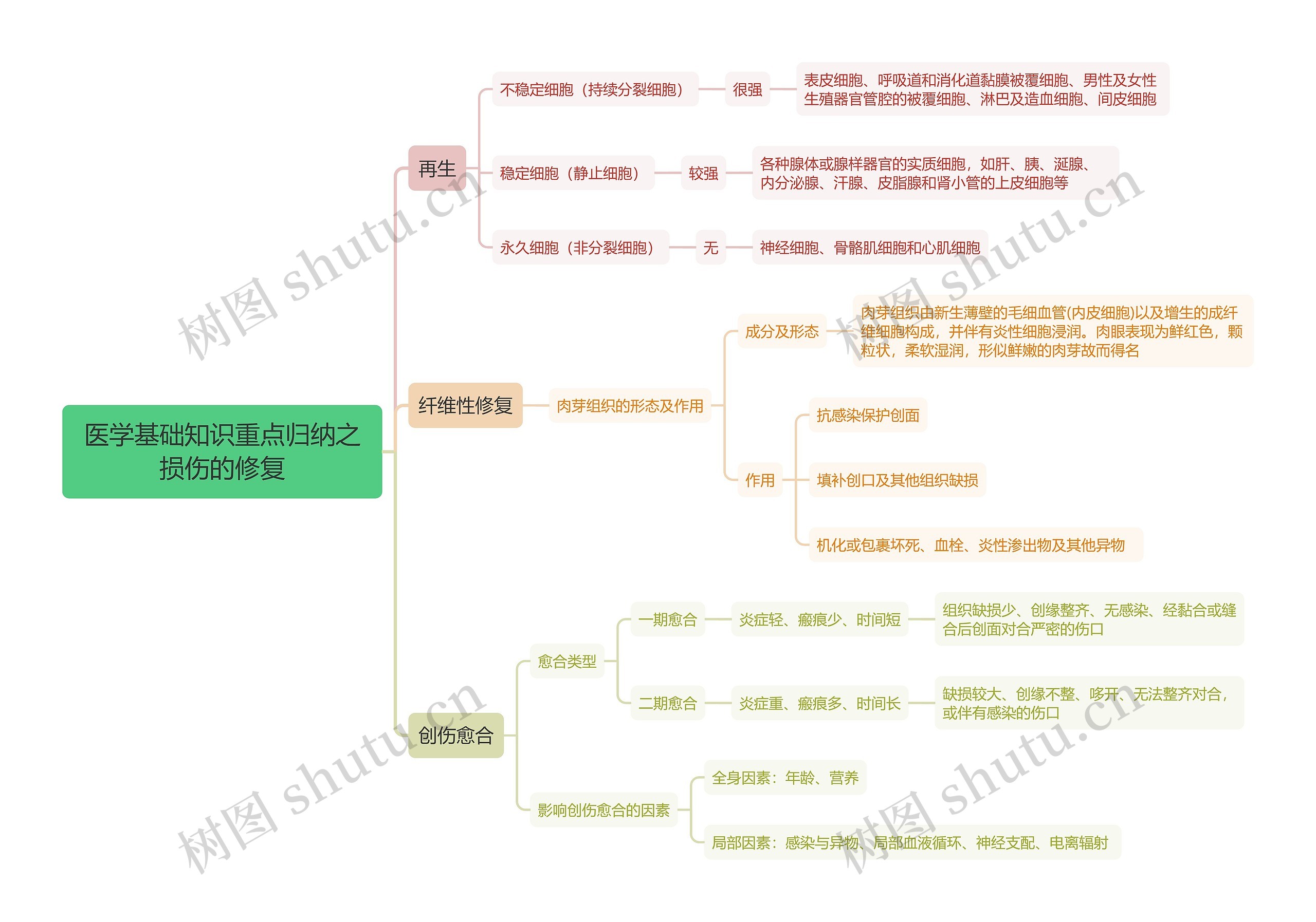 医学基础知识重点归纳之损伤的修复思维导图