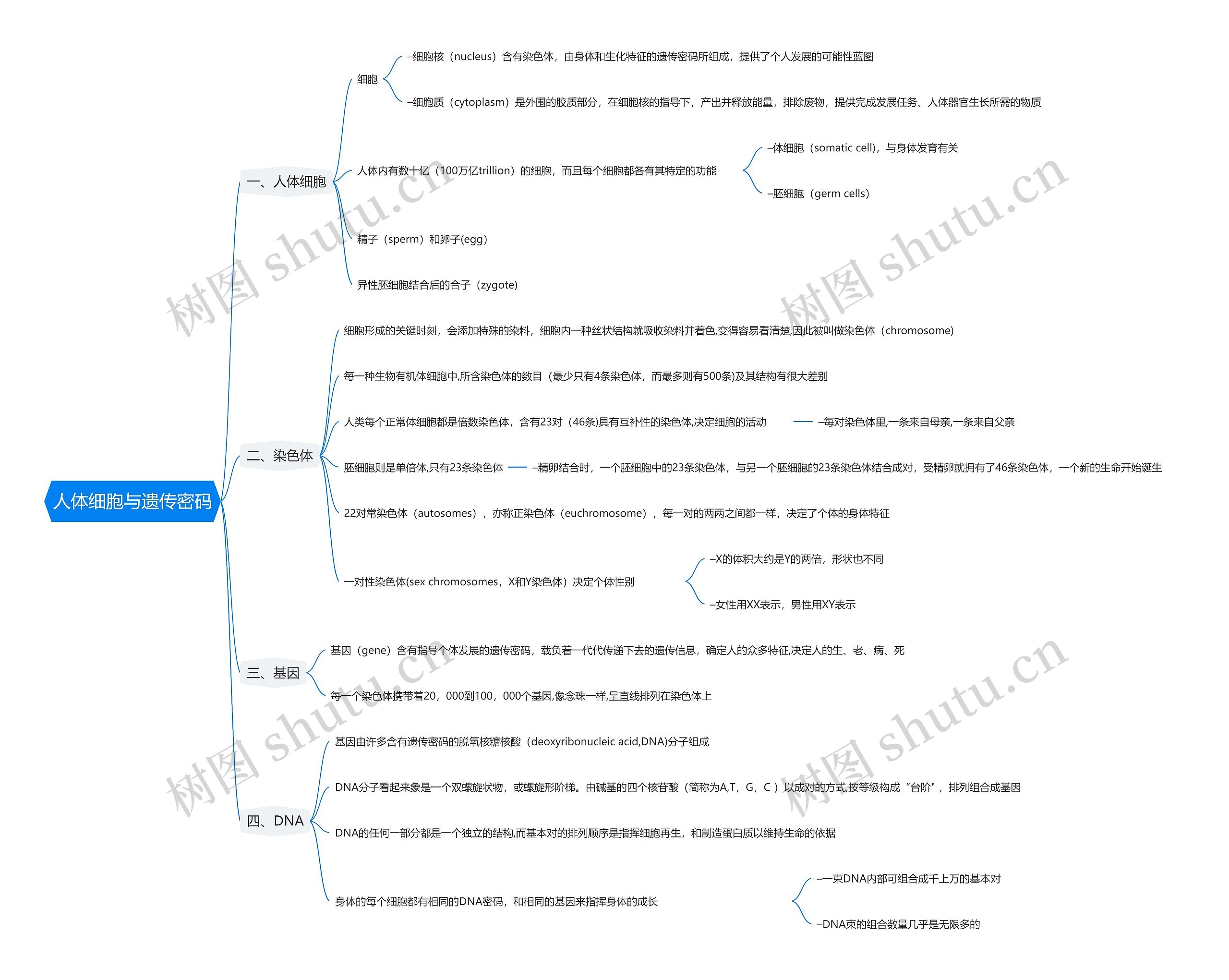 人体细胞与遗传密码思维导图