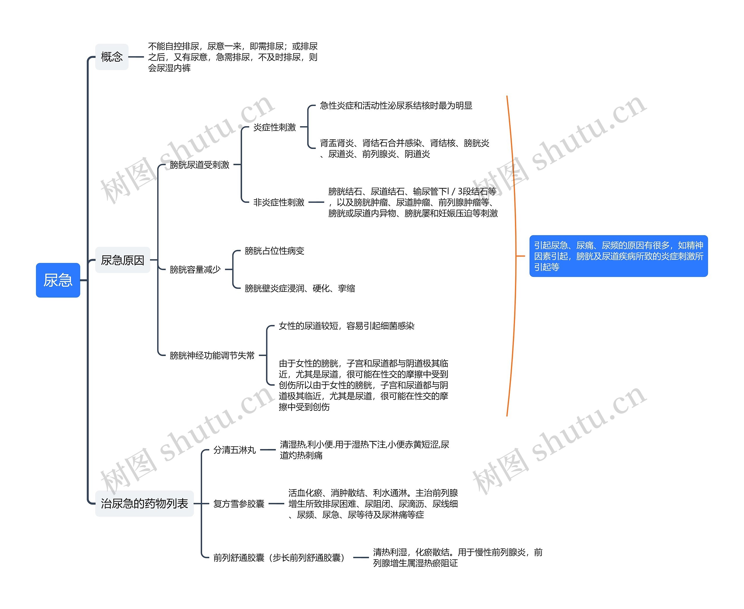 尿急知识点思维导图
