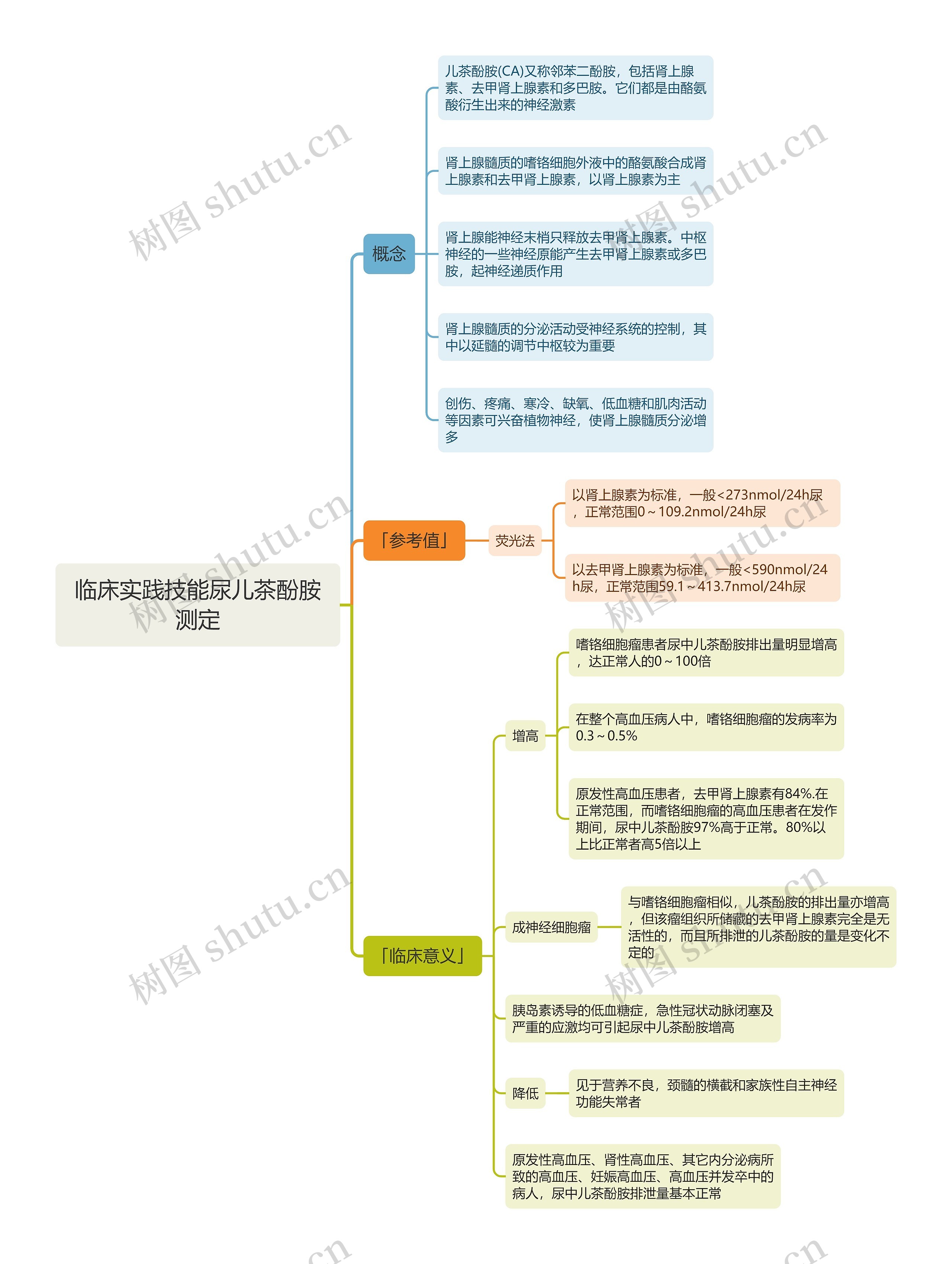 临床实践技能尿儿茶酚胺测定思维导图