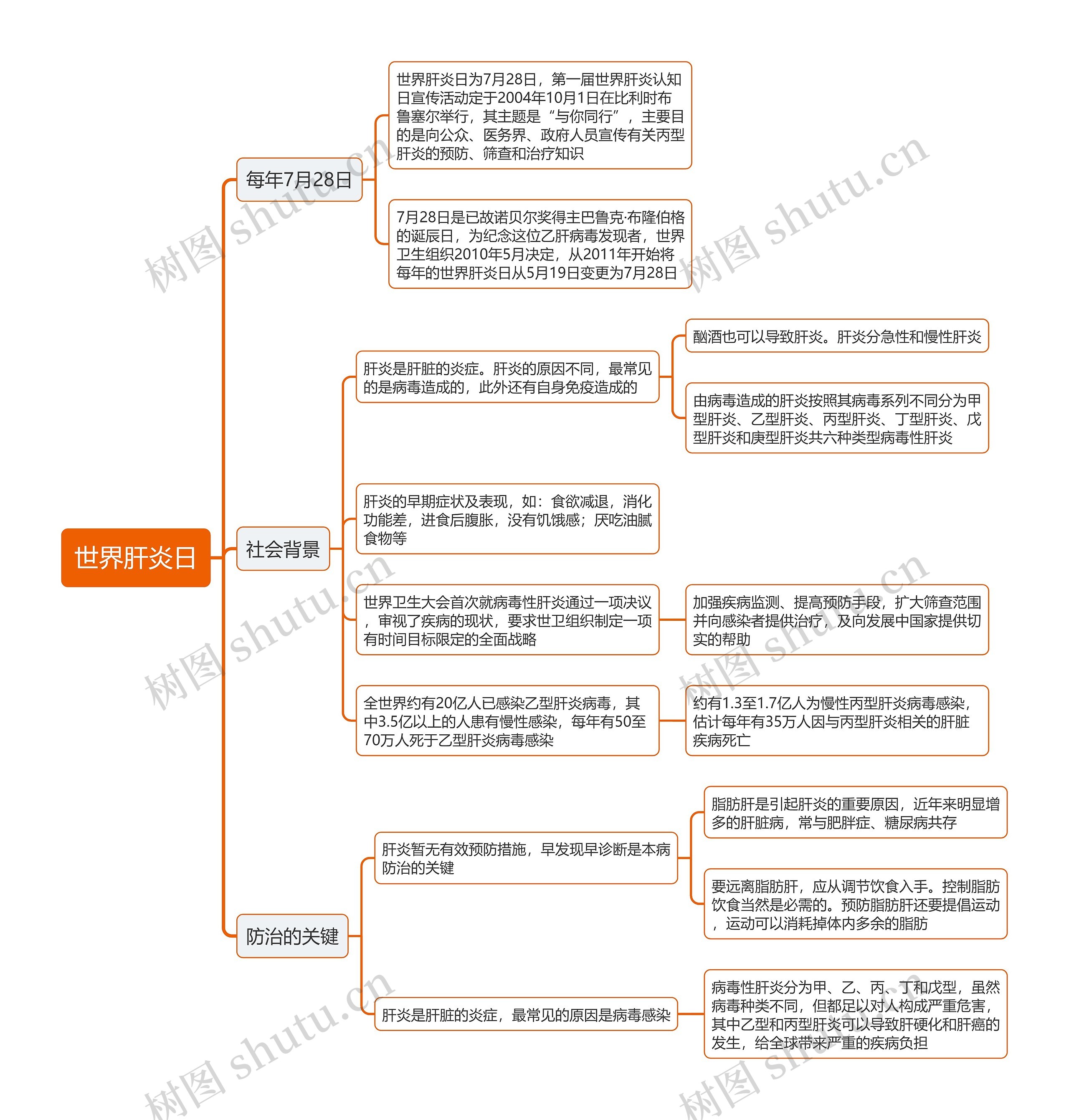 世界肝炎日思维导图