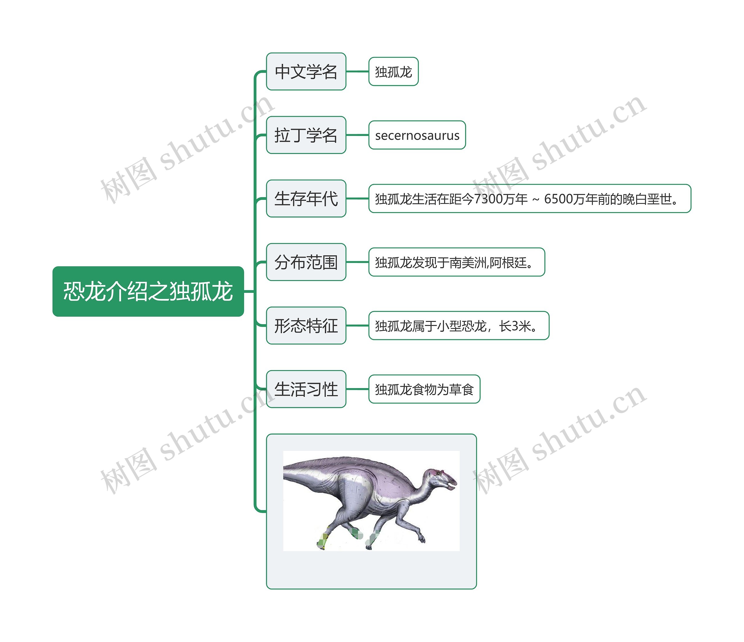 恐龙介绍之独孤龙思维导图