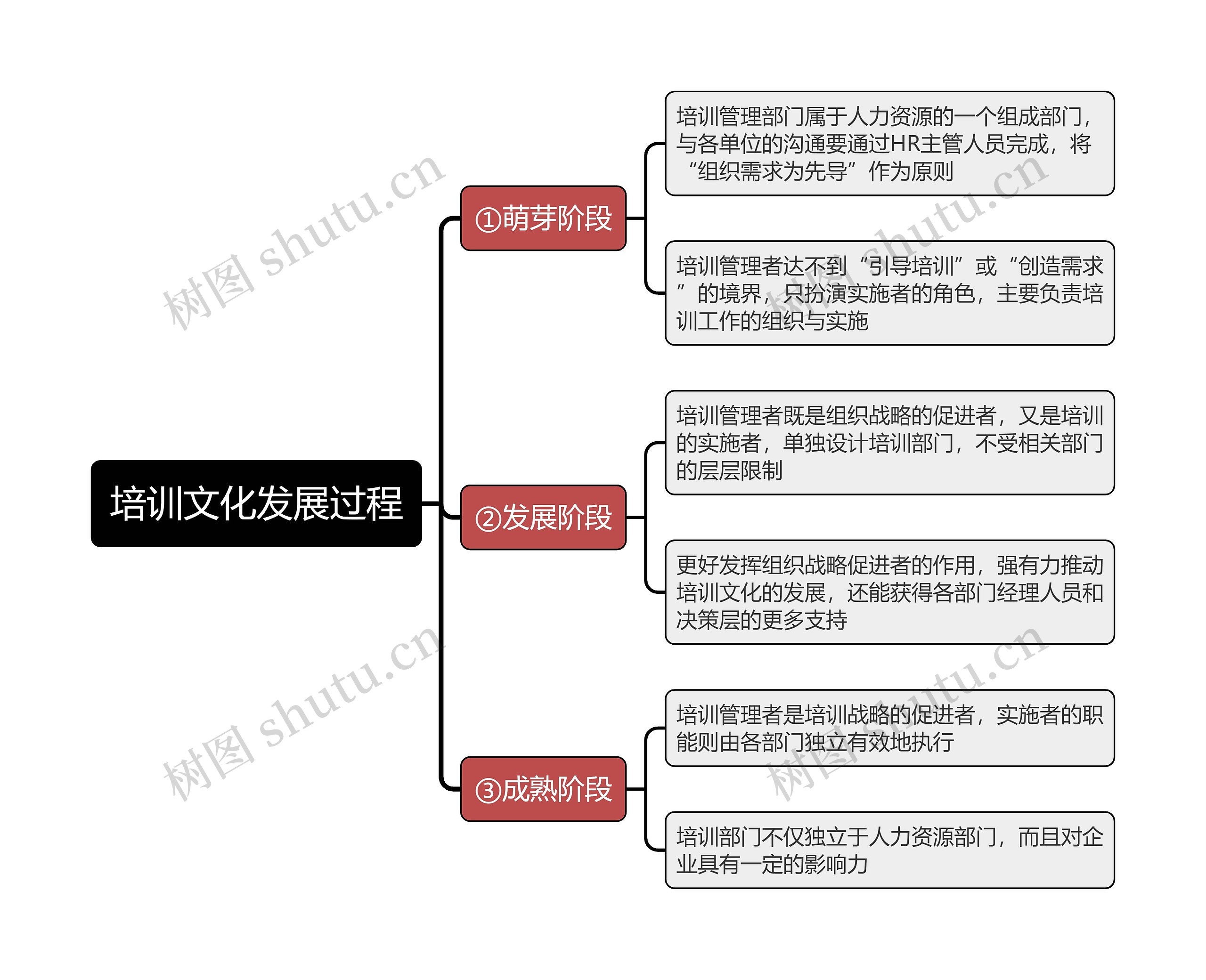 培训文化发展过程思维导图