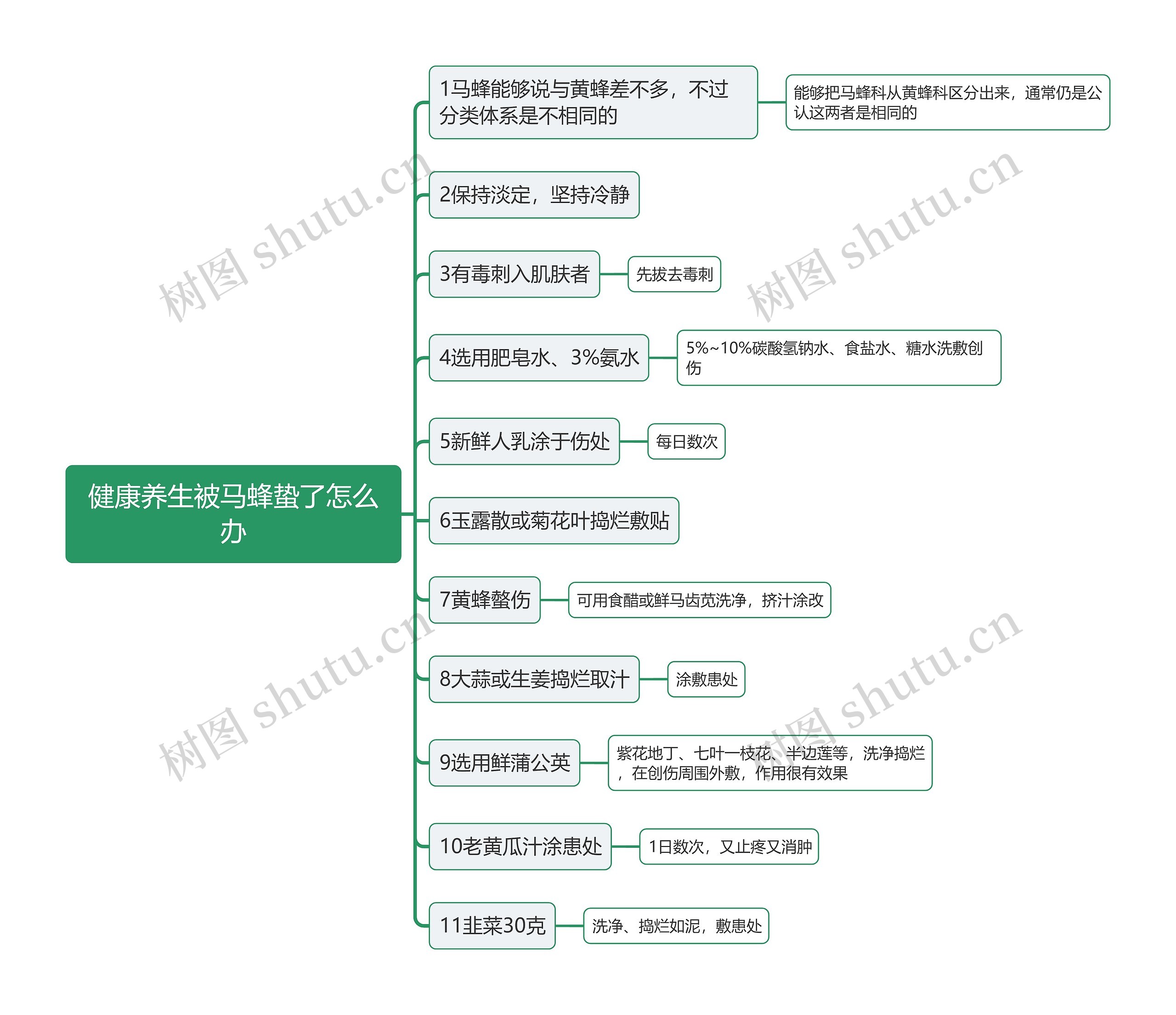 健康养生被马蜂蛰了怎么办思维导图