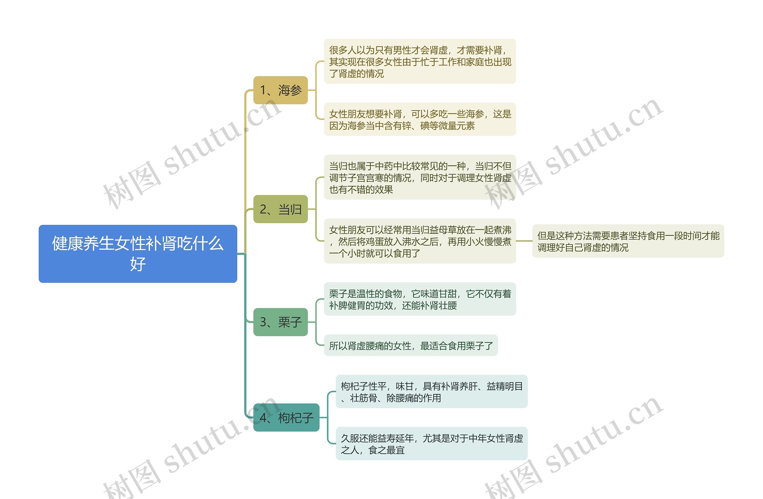 健康养生女性补肾吃什么好思维导图