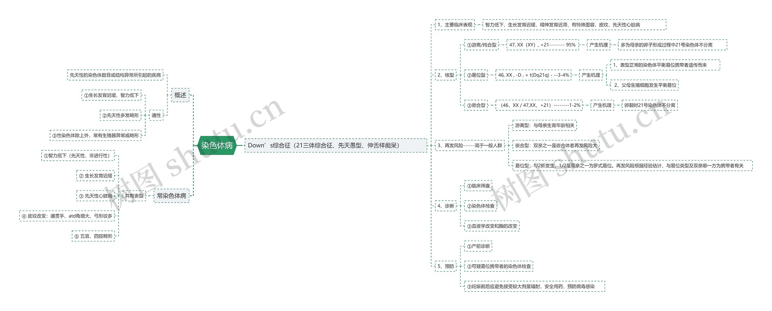 染色体病思维导图