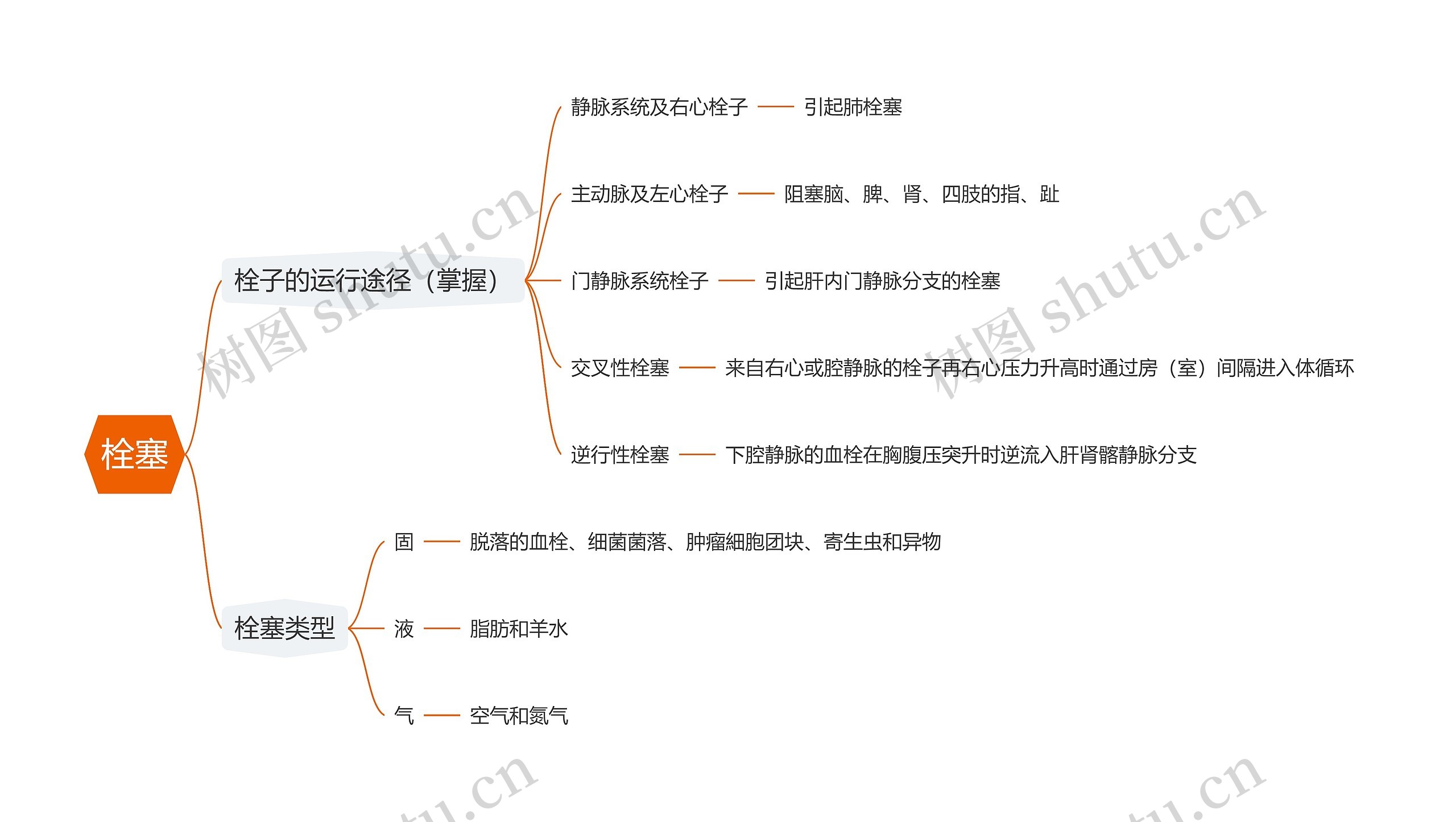 栓塞思维导图