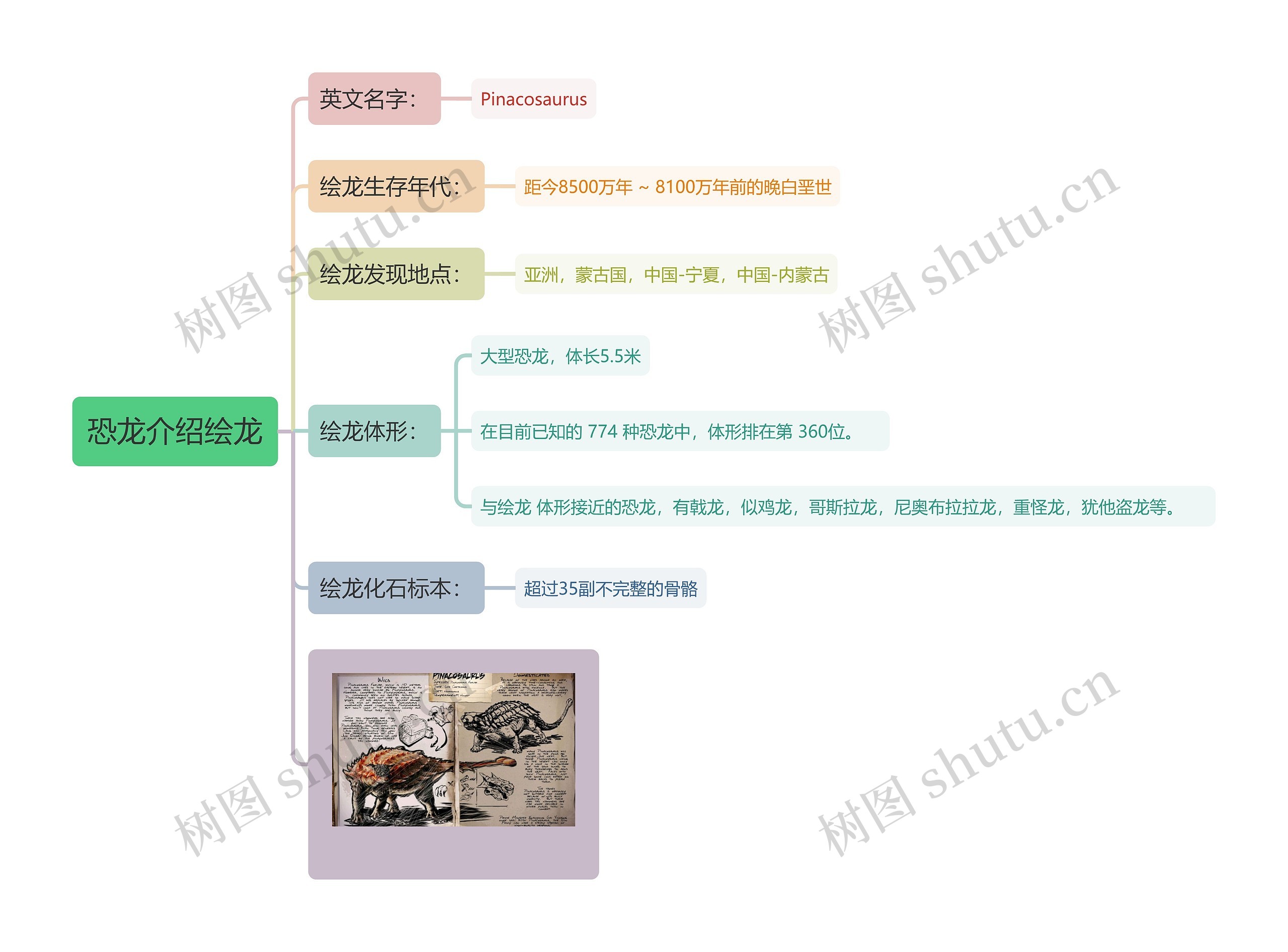 恐龙介绍绘龙