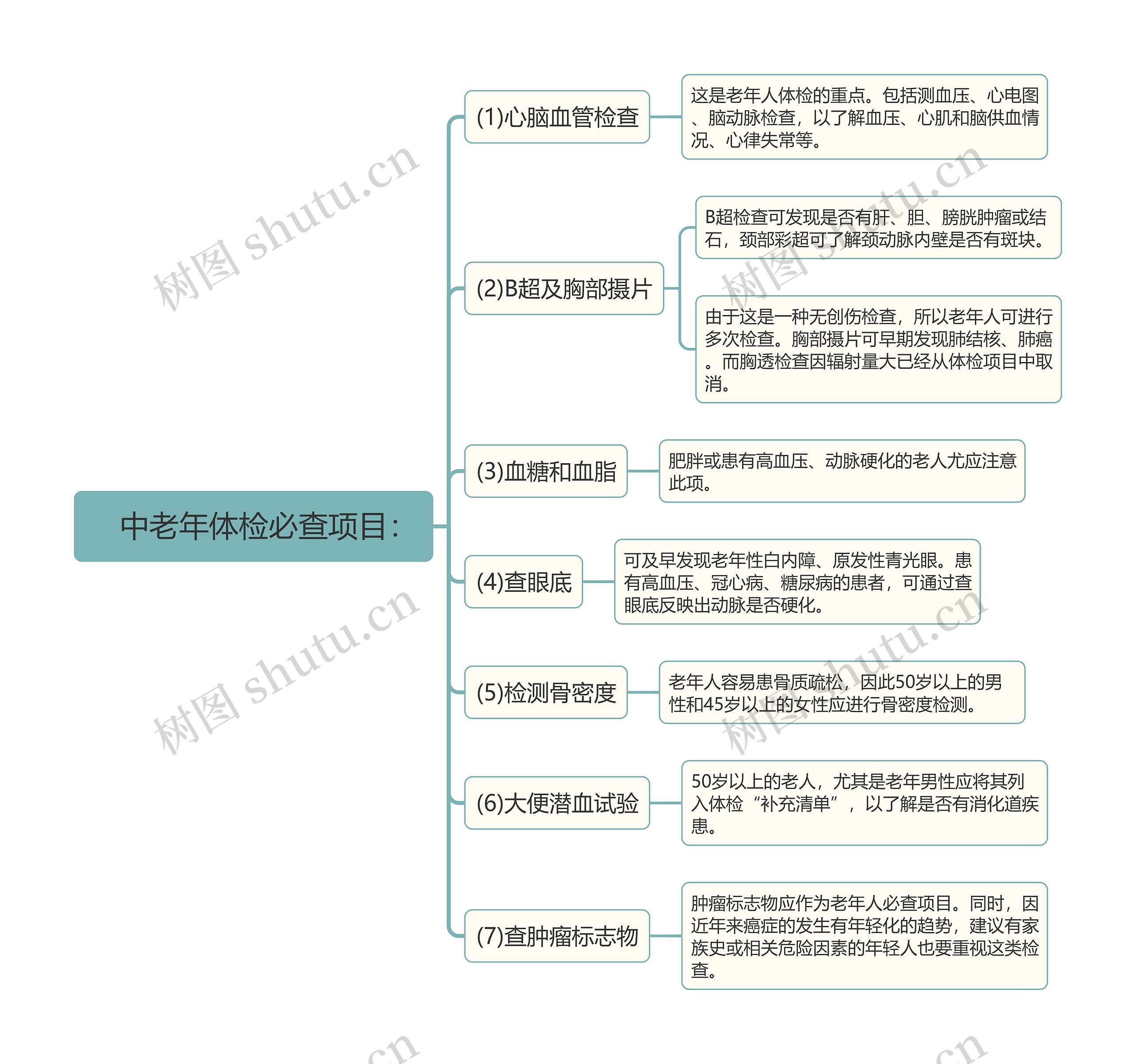 中老年体检必查项目介绍思维导图