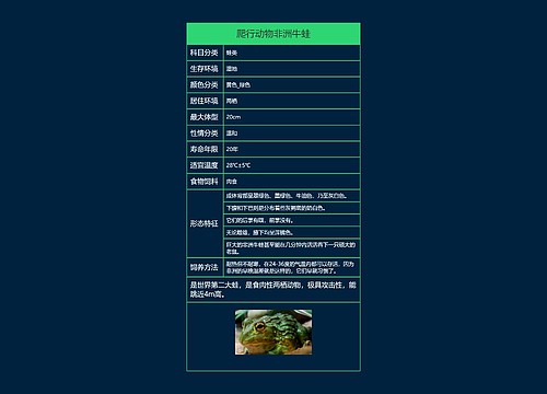爬行动物非洲牛蛙思维导图