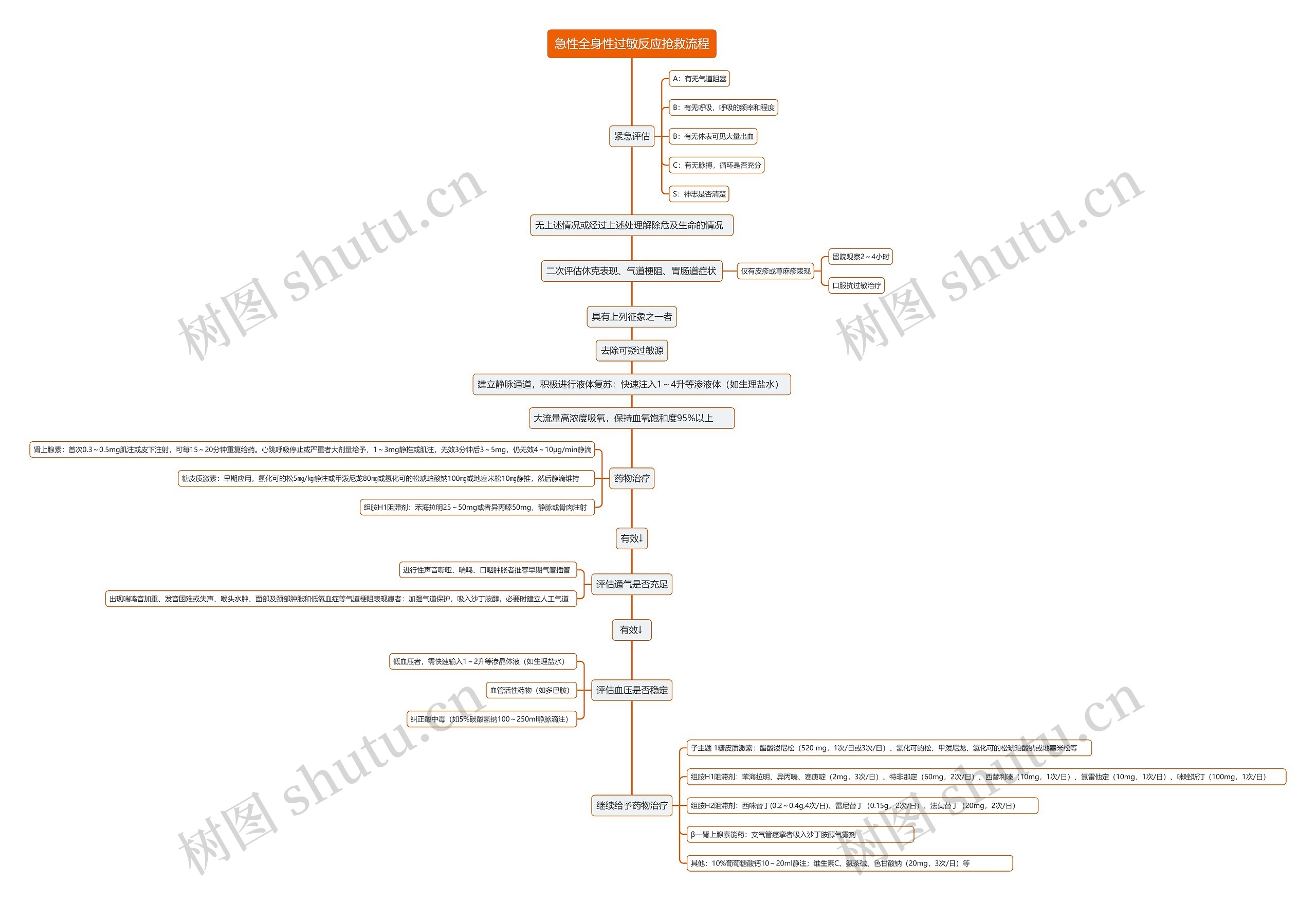 急性全身性过敏反应抢救流程思维导图