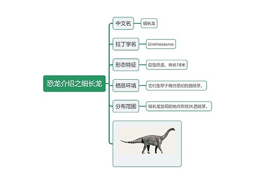 恐龙介绍之细长龙思维导图