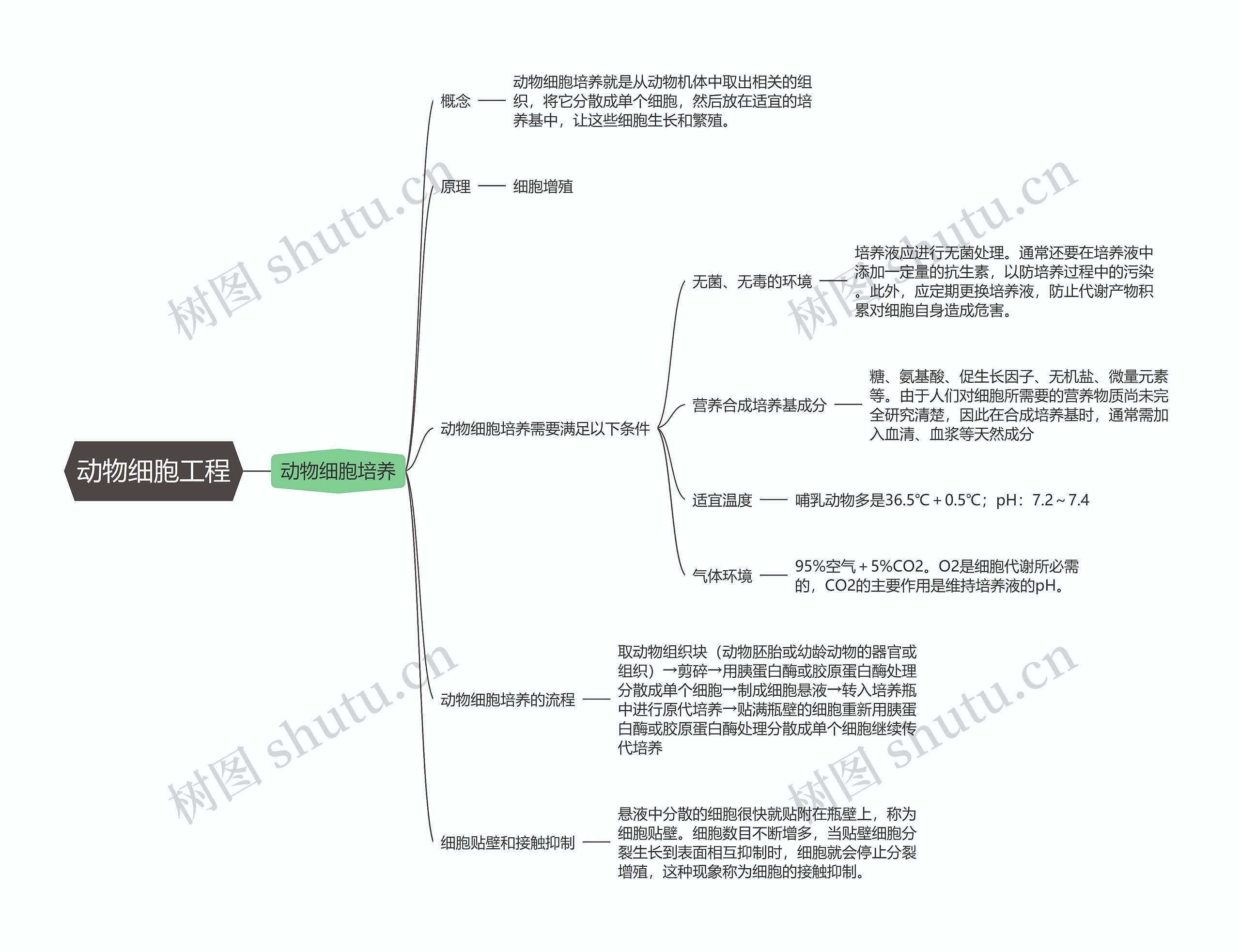 生物必修三   动物细胞工程思维导图