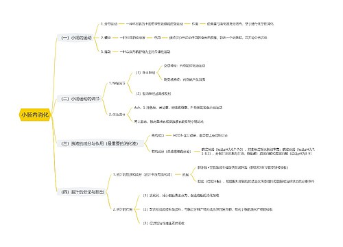 小肠内消化思维导图