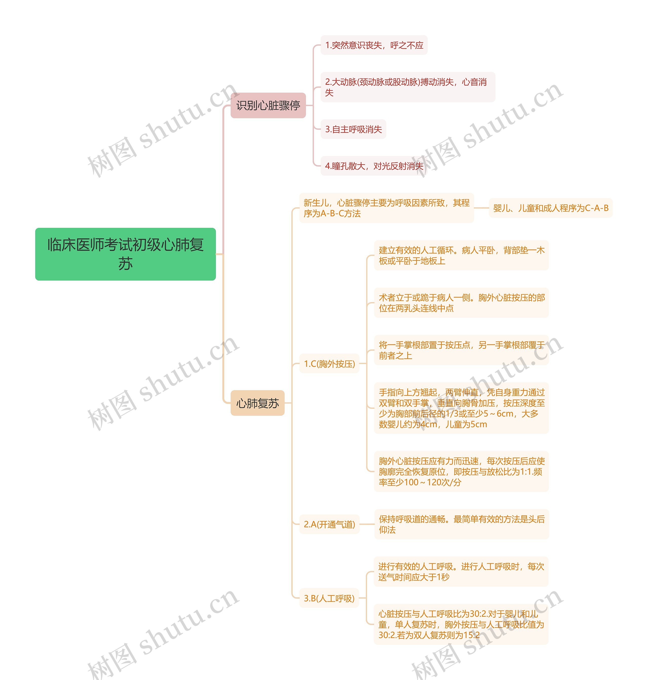 临床医师考试初级心肺复苏思维导图