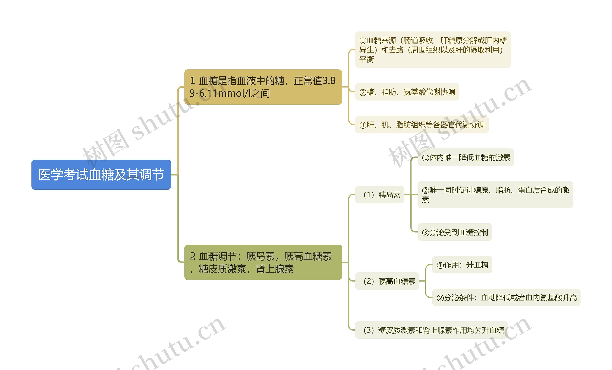医学考试血糖及其调节思维导图 医学考试血糖及其调节思维导图