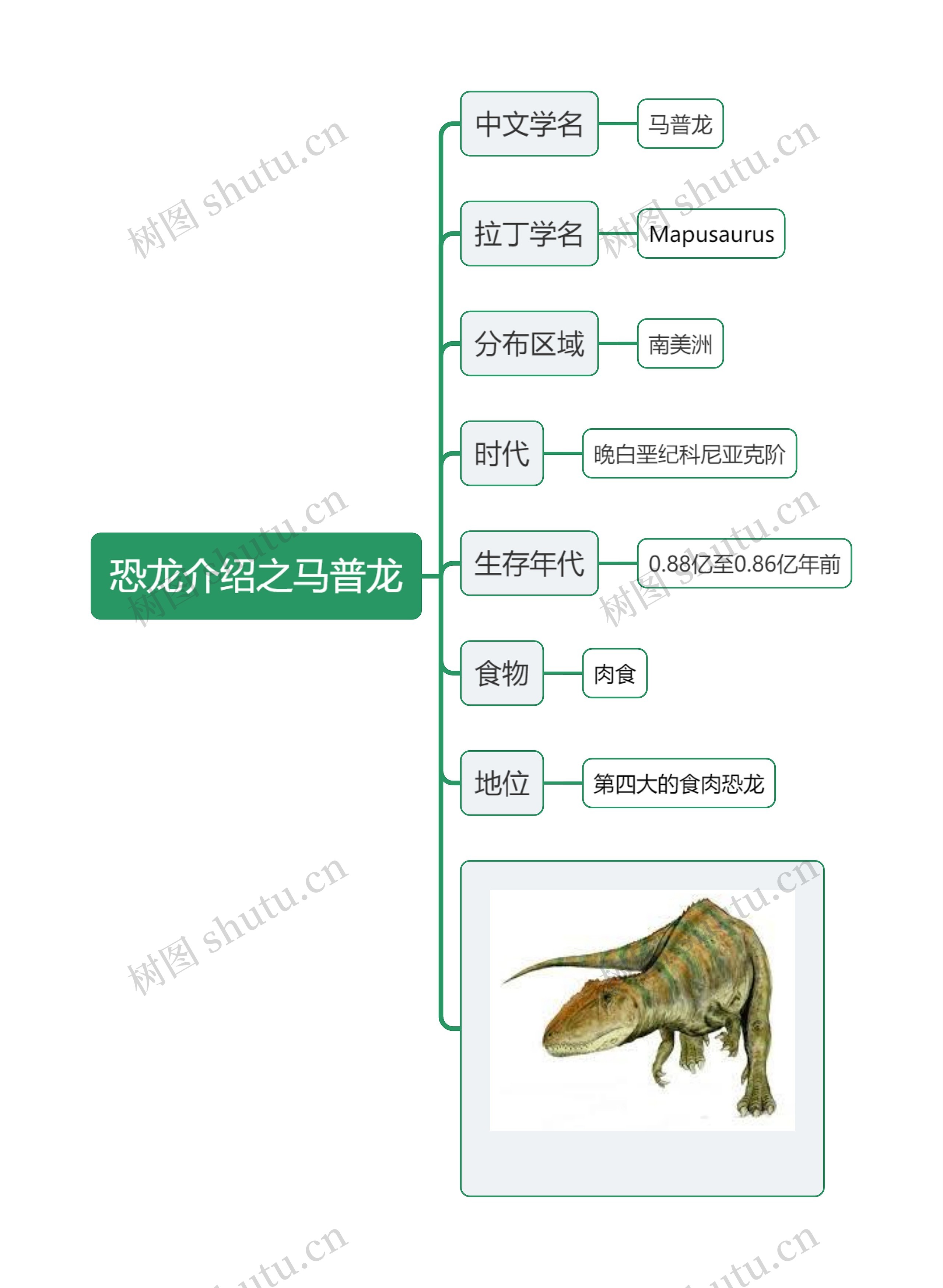 恐龙介绍之马普龙思维导图