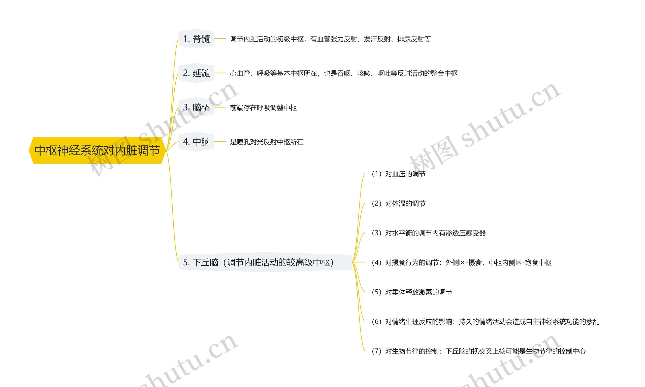 中枢神经系统对内脏调节思维导图