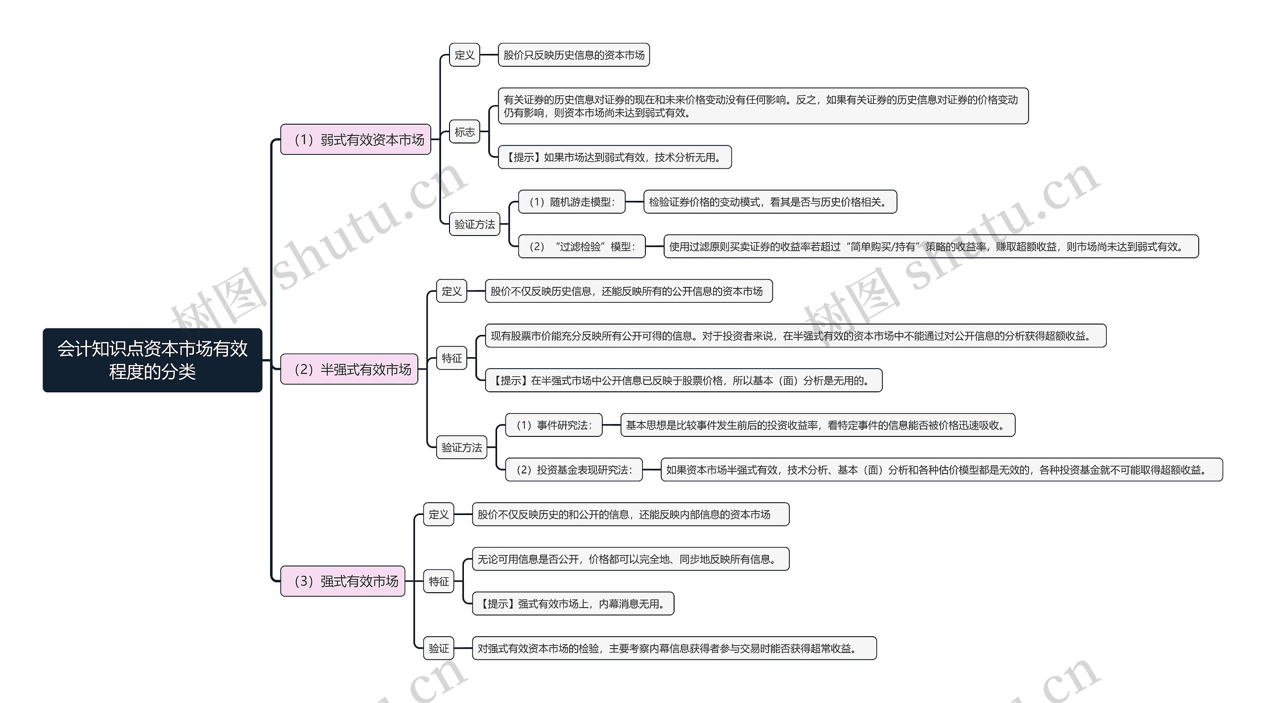 会计知识点资本市场有效程度的分类思维导图