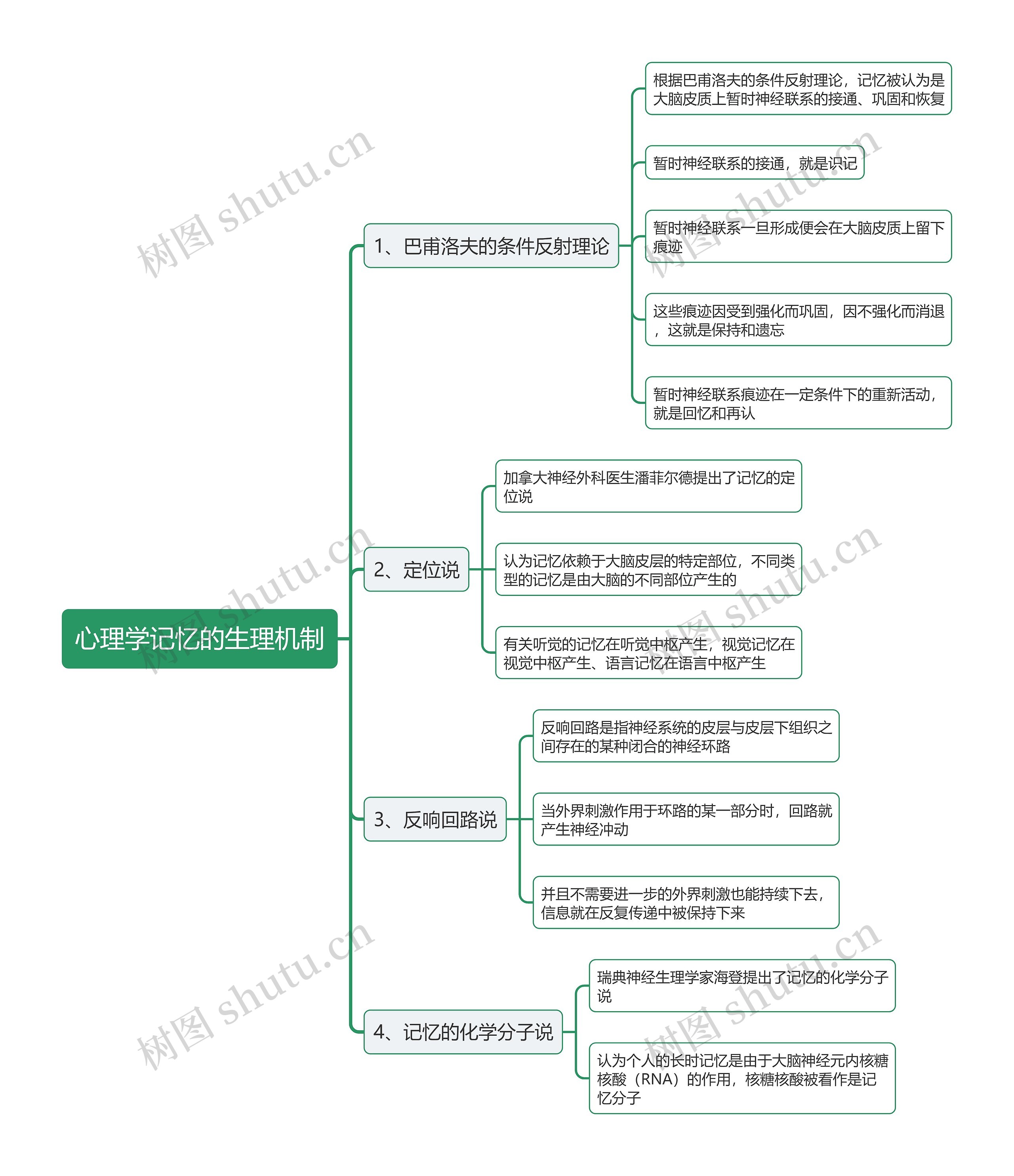 心理学记忆的生理机制思维导图