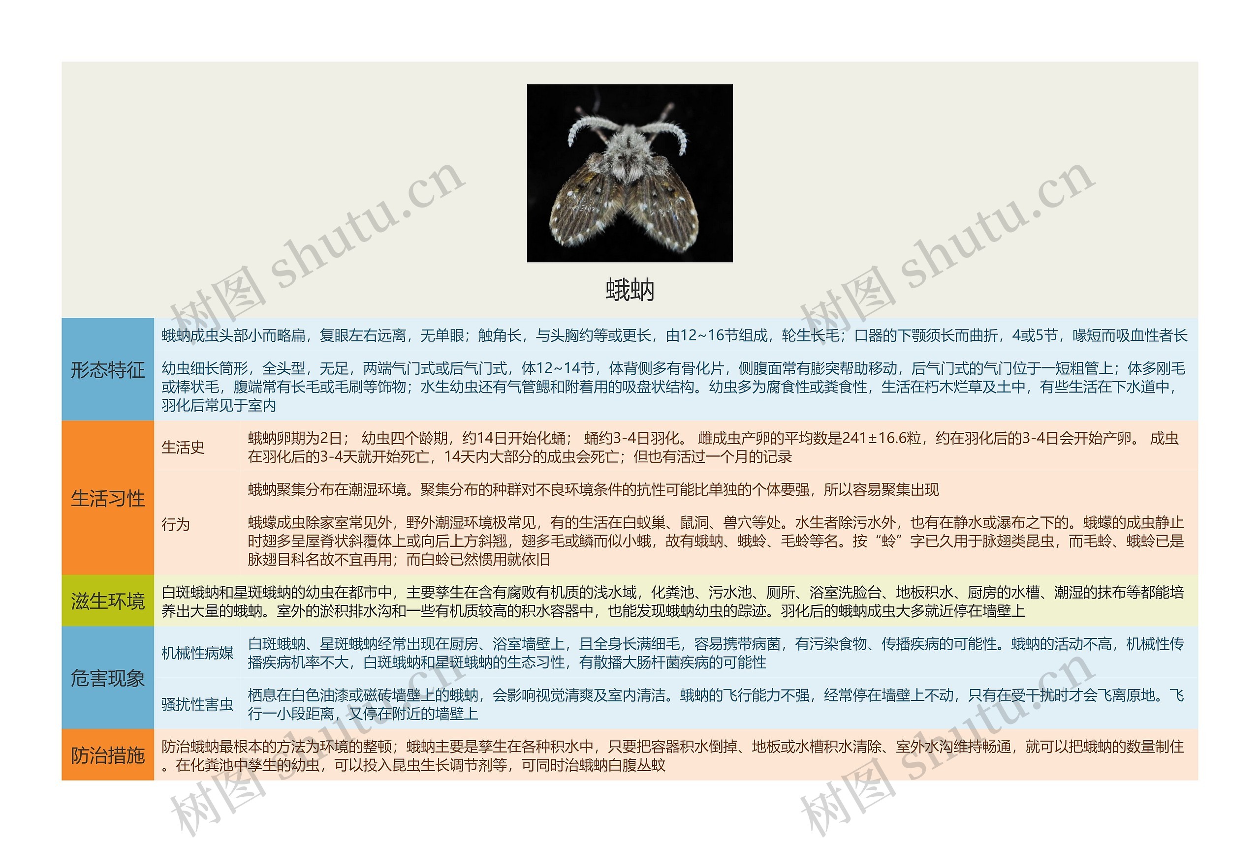 蛾蚋思维导图