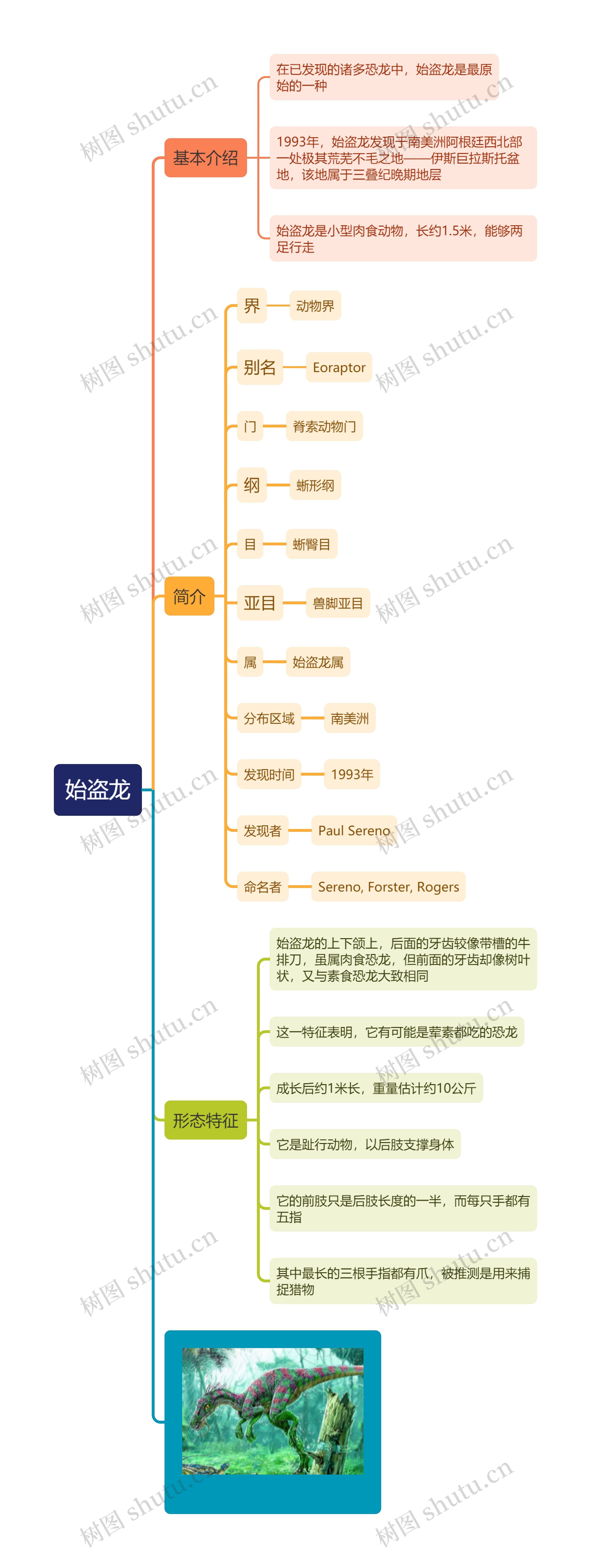 始盗龙思维导图