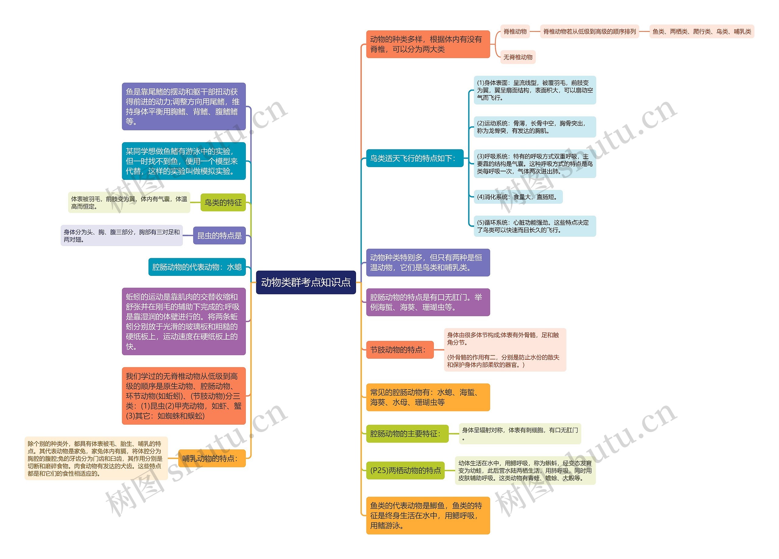 动物类群思维导图