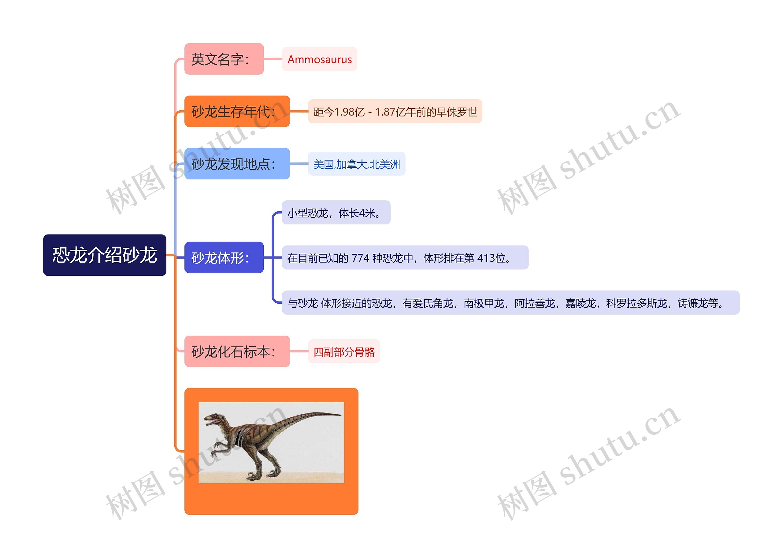 恐龙介绍砂龙思维导图