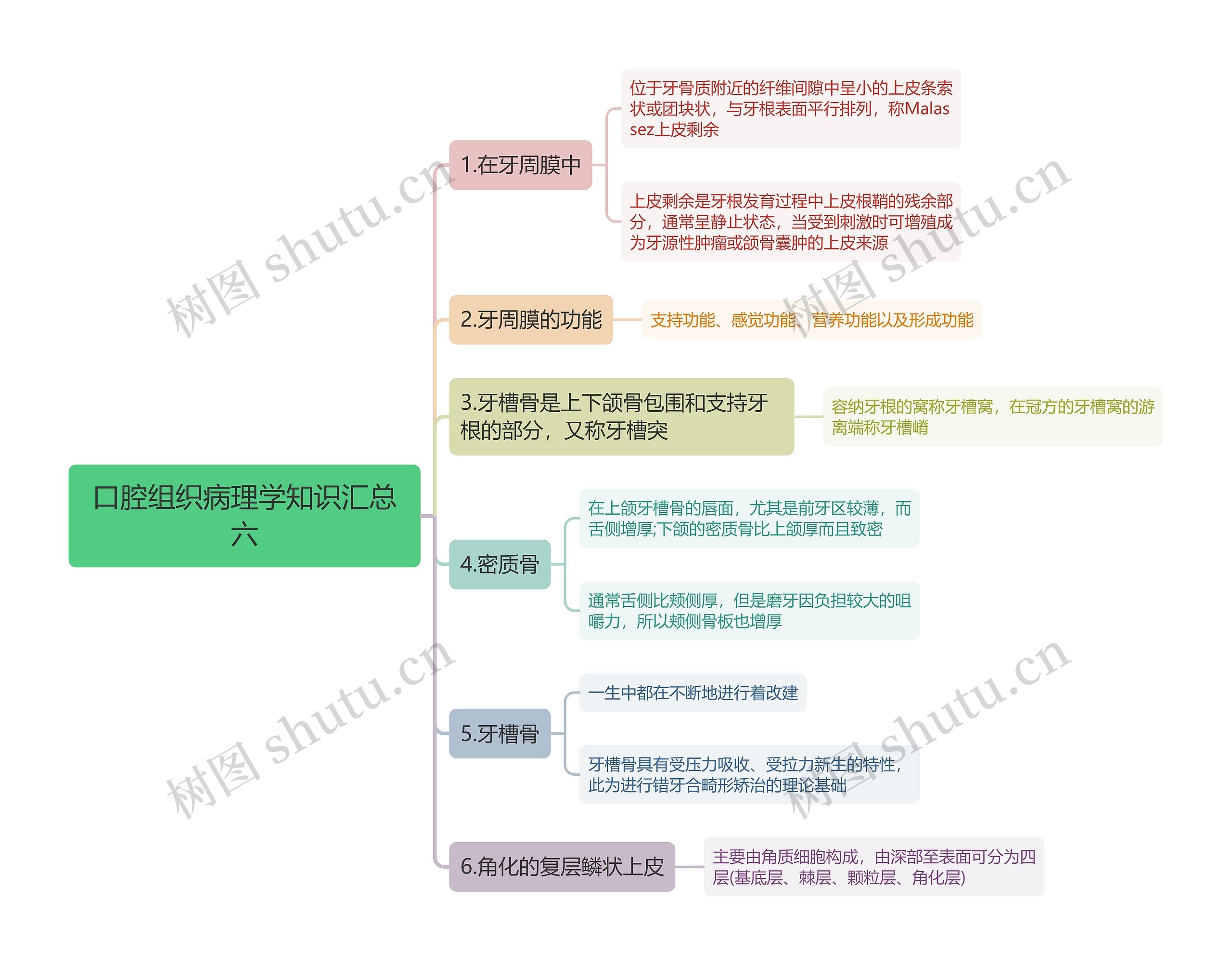 口腔组织病理学知识汇总六思维导图