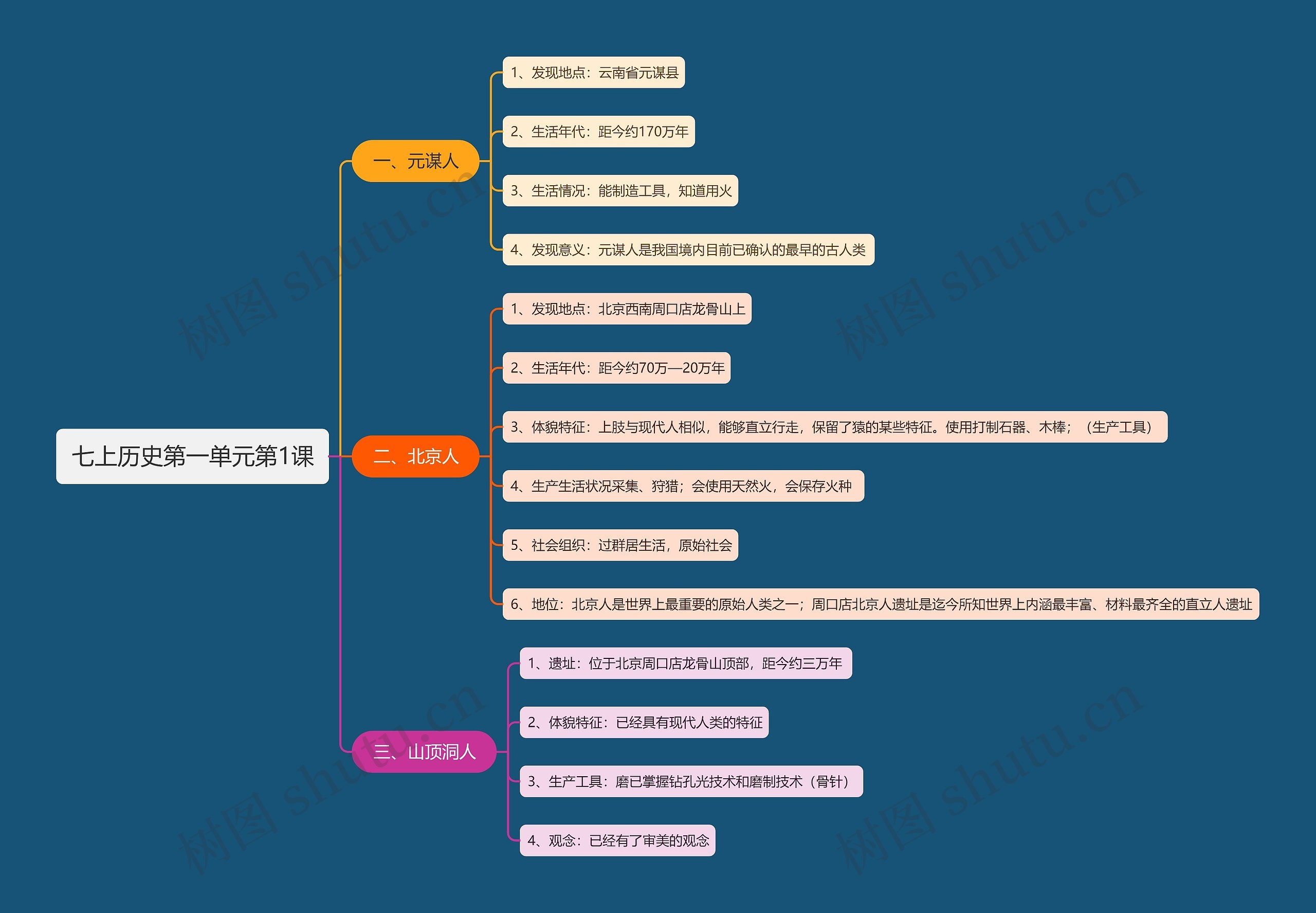 七上历史第一单元第1课思维导图