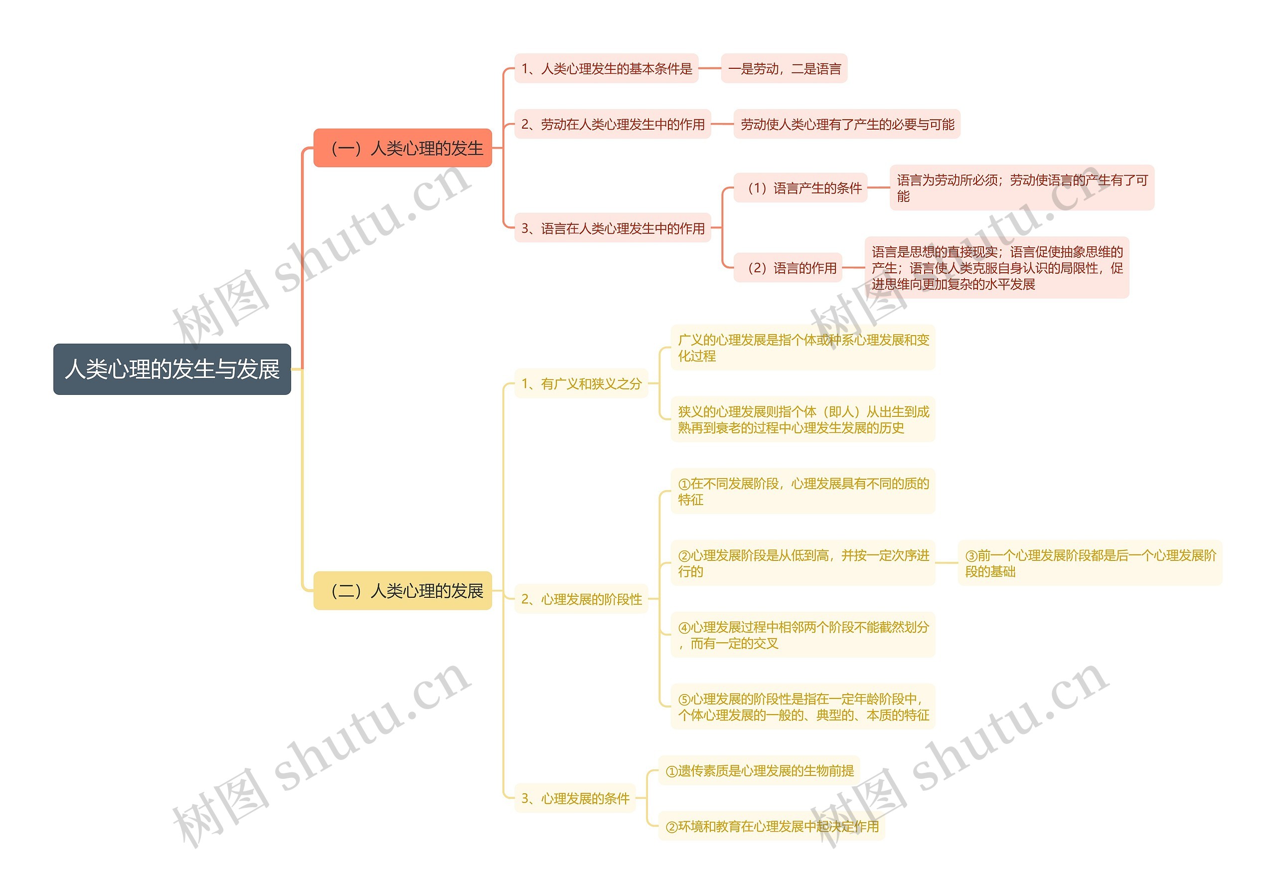 人类心理的发生与发展思维导图