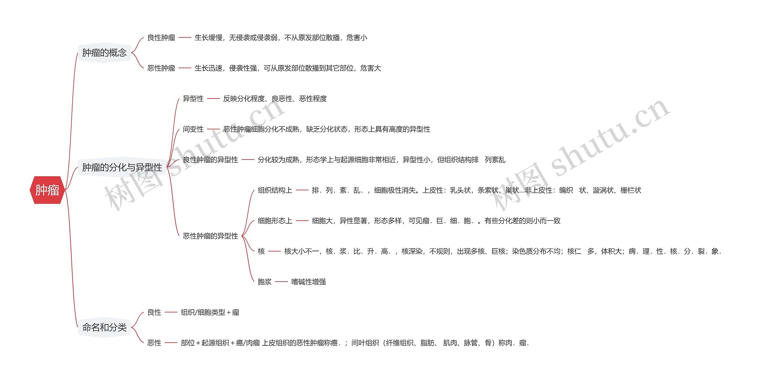 肿瘤思维导图