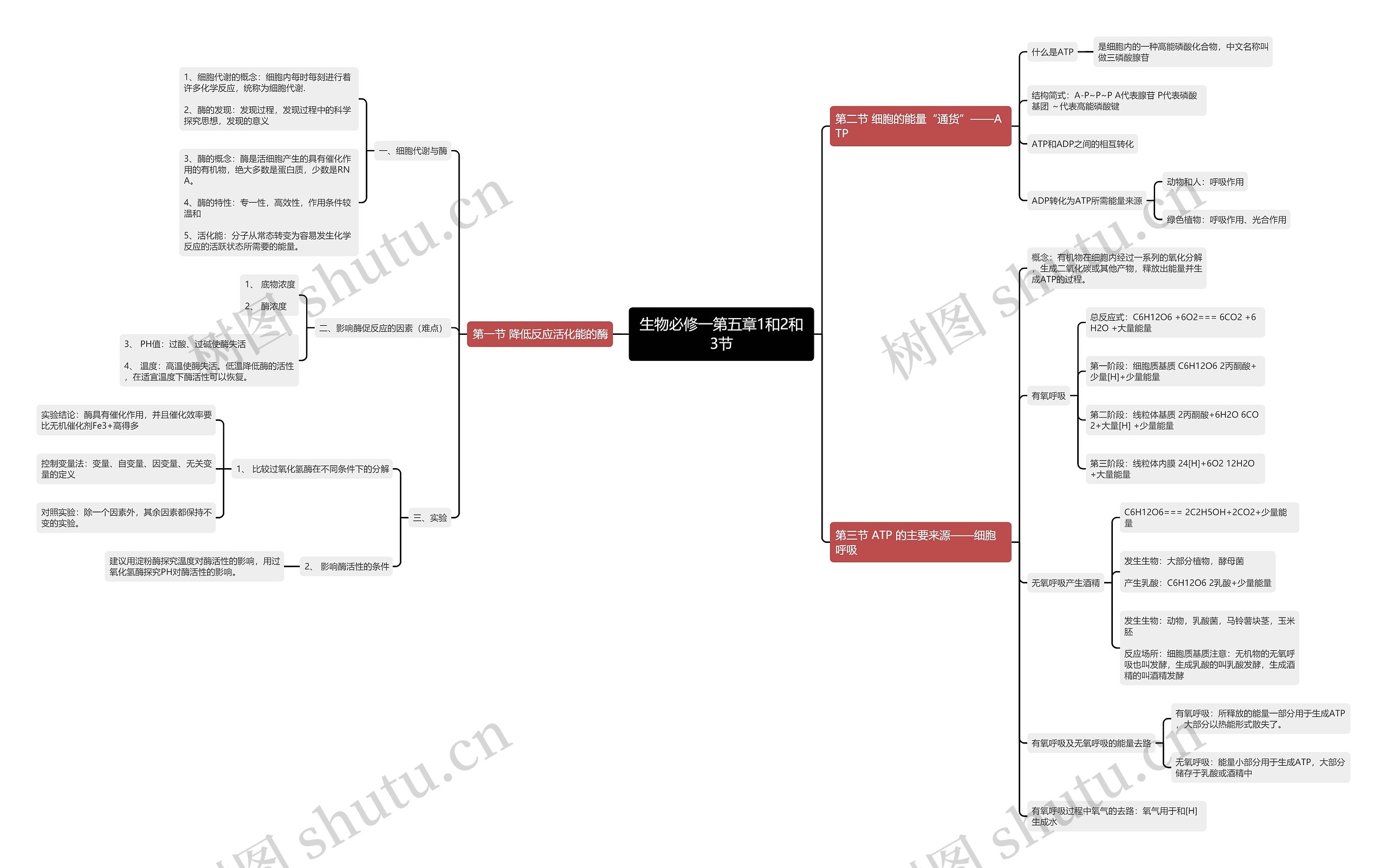 生物必修一第五章1和2和3节思维导图