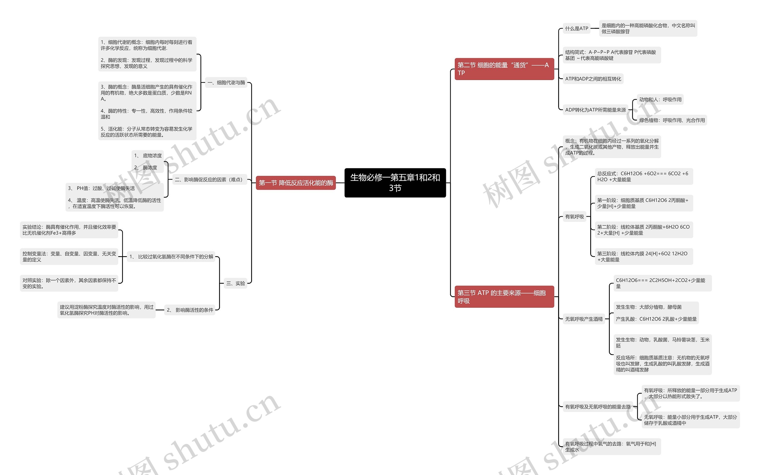 生物必修一第五章1和2和3节思维导图高清图 生物必修一第五章1和2和3节思维导图