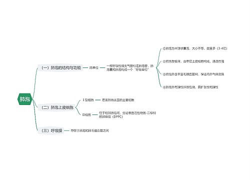 肺泡思维导图