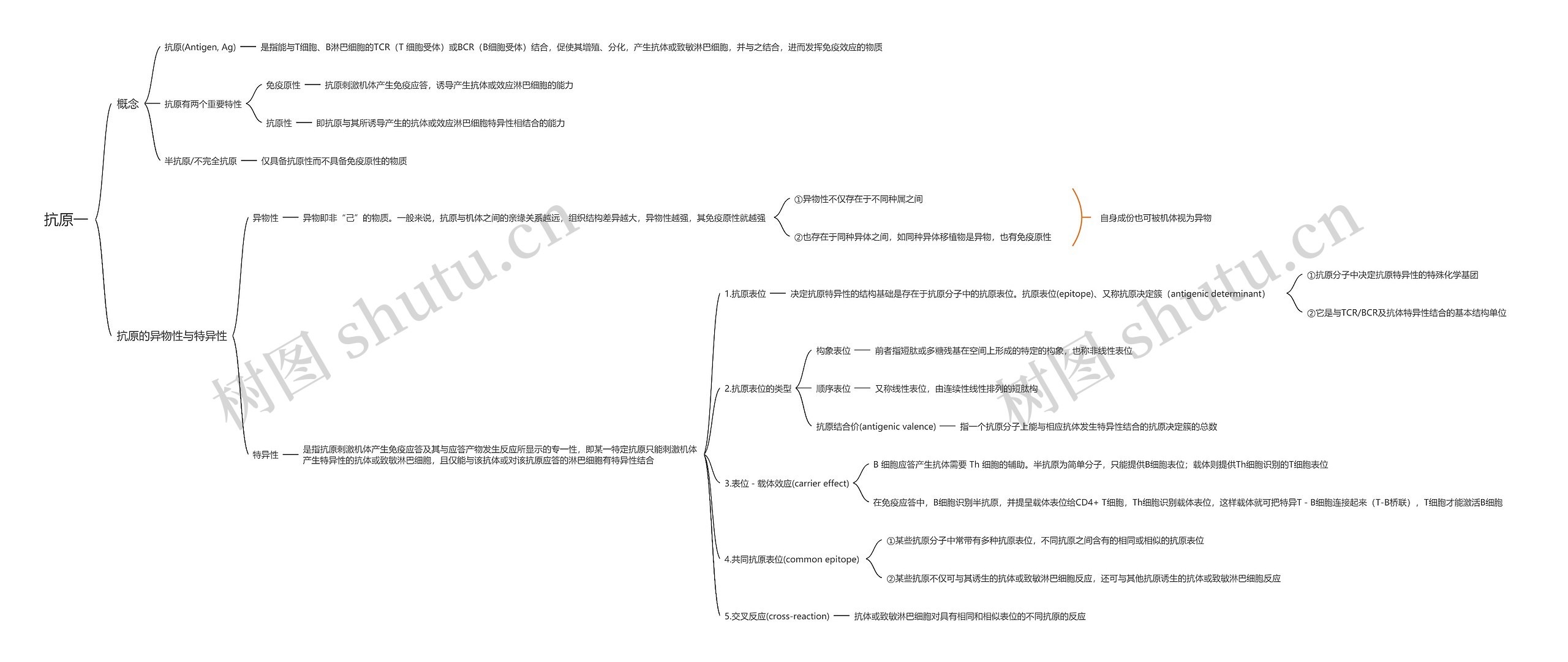 抗原一思维导图