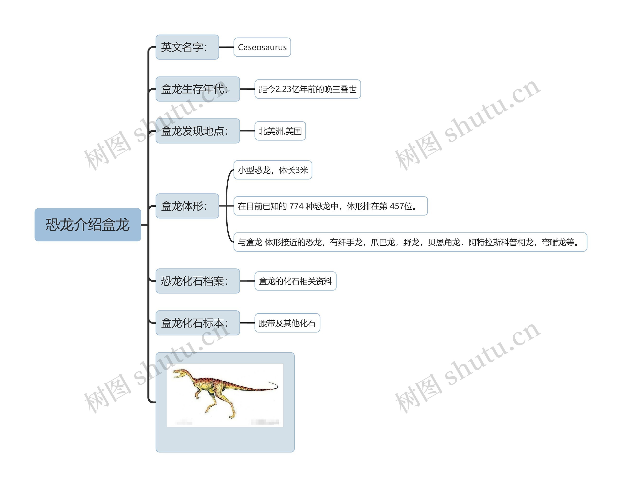 恐龙介绍盒龙思维导图